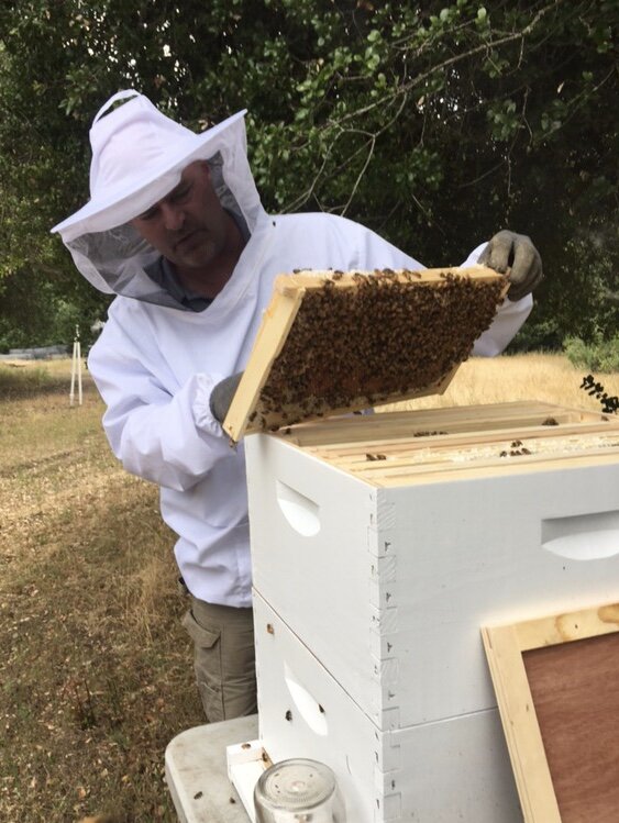 About — Berry Island Farms