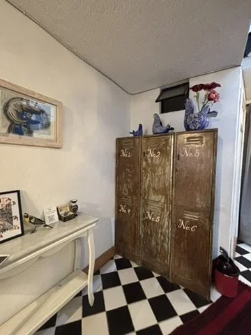 Entryway and cleaning closet