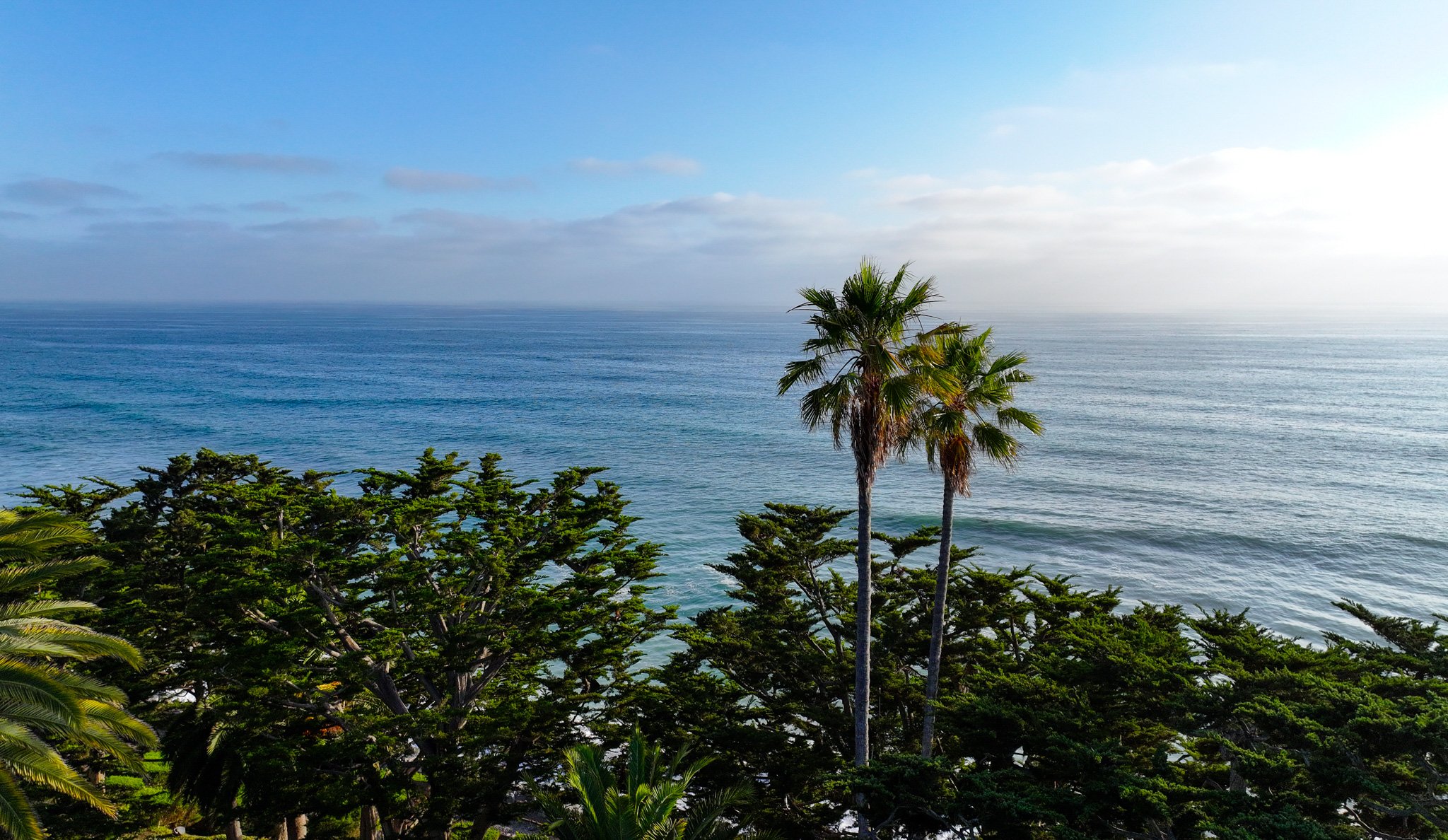 SHORES8.jpg