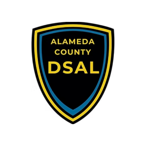 DSAL_LOGO_2025_squared.png