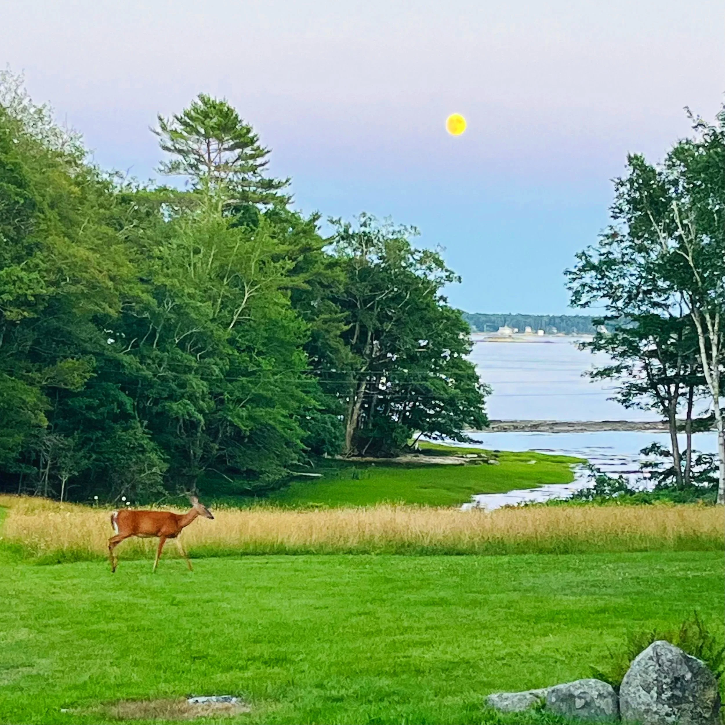 A landscape with a grazing deer in the foreground, lush trees, and a body of water in the background under a pastel-colored sky with a visible moon.