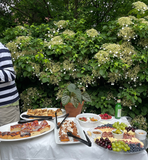 A table with various food items including pizza, cakes, and a cheese platter, set outdoors against a backdrop of lush green hydrangea bushes.