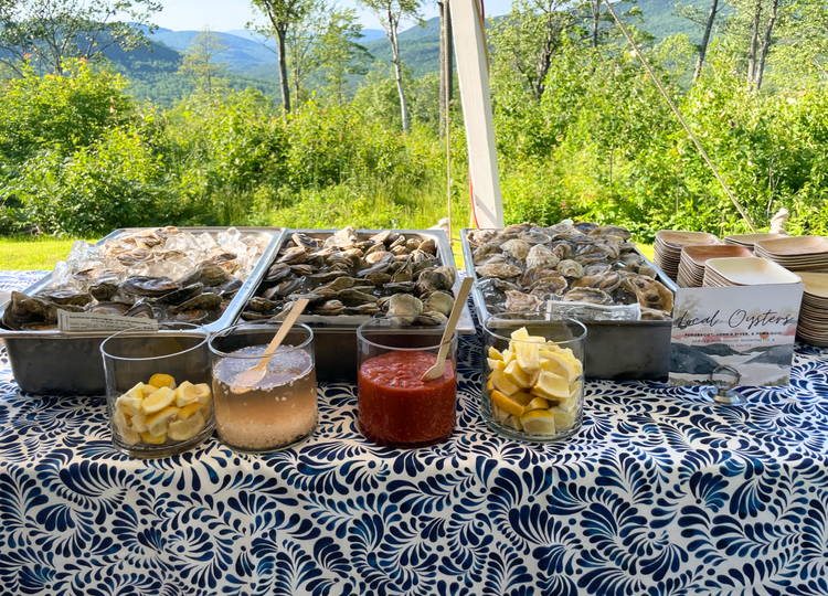A seafood buffet with trays of fresh oysters on a table outdoors, featuring lemon wedges, cocktail sauce, horseradish, and fresh lemons, set against a backdrop of trees and mountains.
