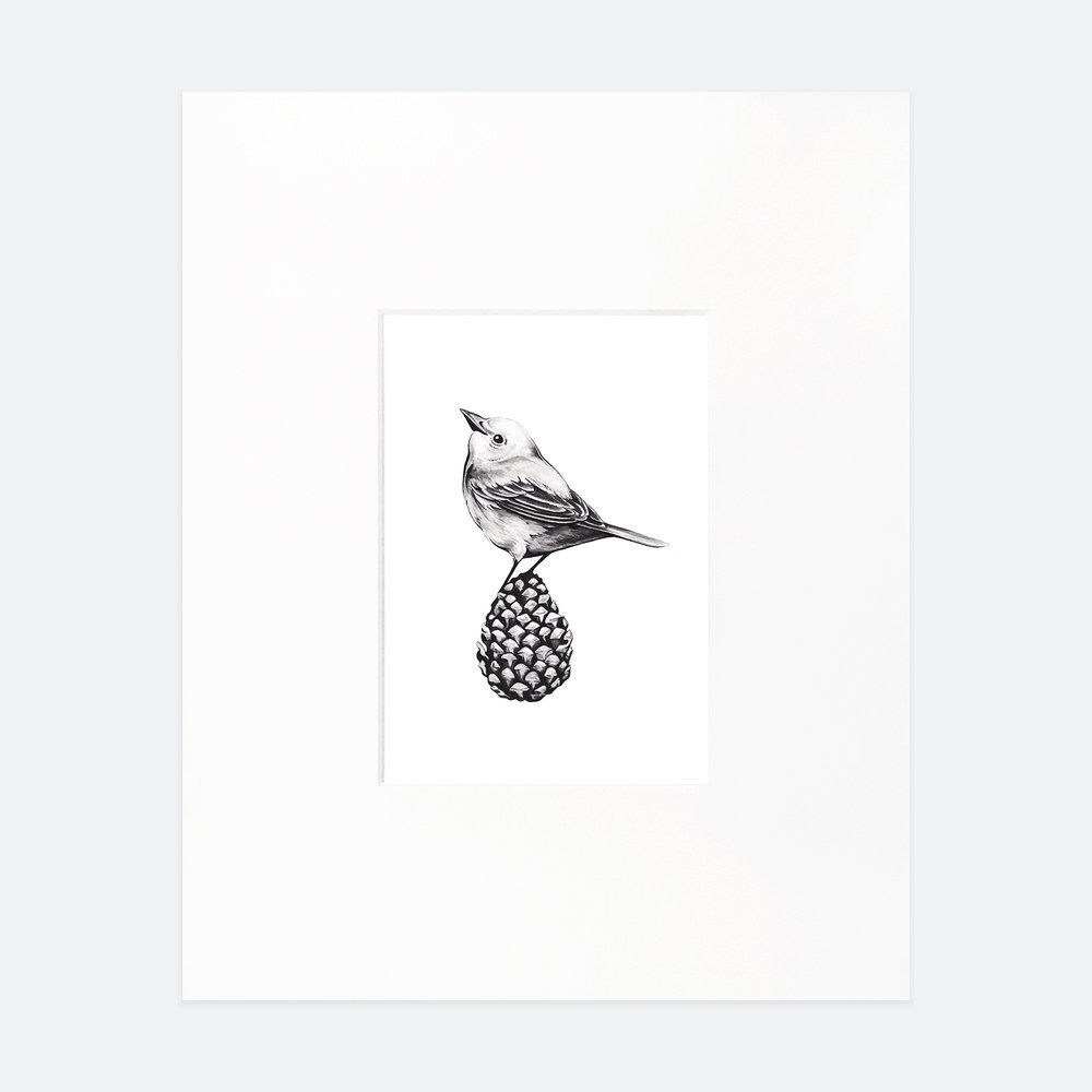 pine-warbler-print-ffcollection.jpg