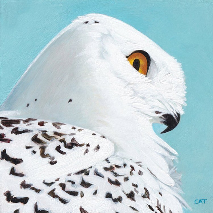 The research can be just as fun as the painting. Happy #SuperbOwl The snowy owl is one superb owl indeed!
