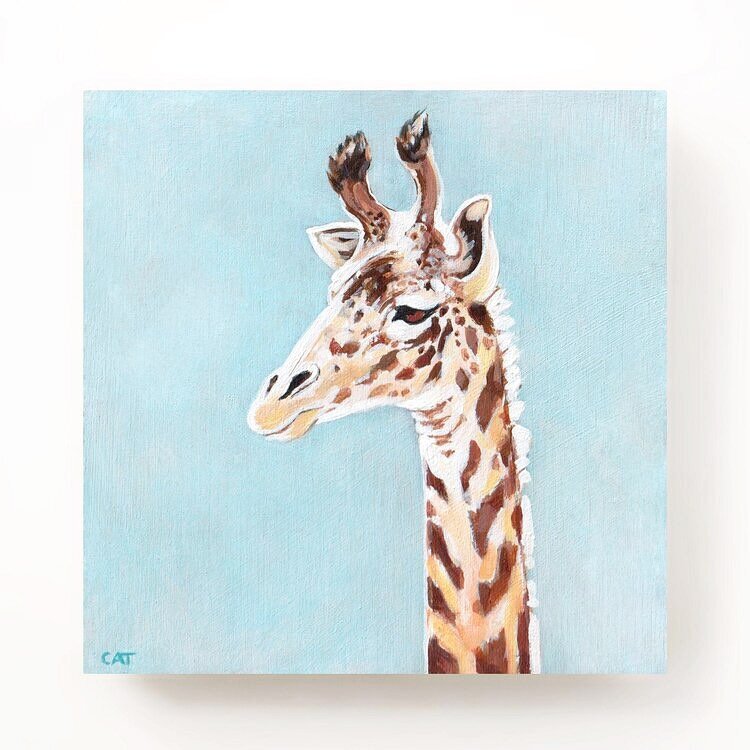 The tallest land animal and largest ruminant. What&rsquo;s a ruminant? Think cattle, sheep, antelopes, deer etc😊🦒...
::
Giraffe, 4x4 inches acrylic SOLD (prints available)
::
#giraffeart #wildlifebyartcat #wildlifepainting #animalartistry #acylicpa