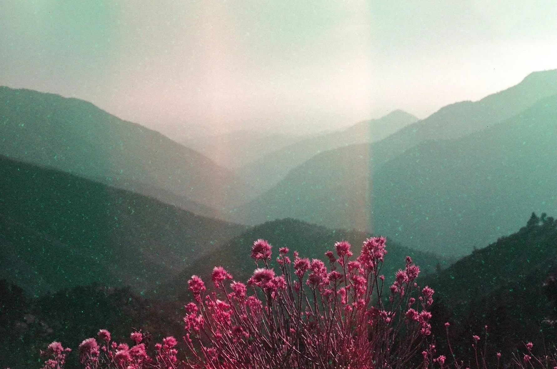 image00036.jpg