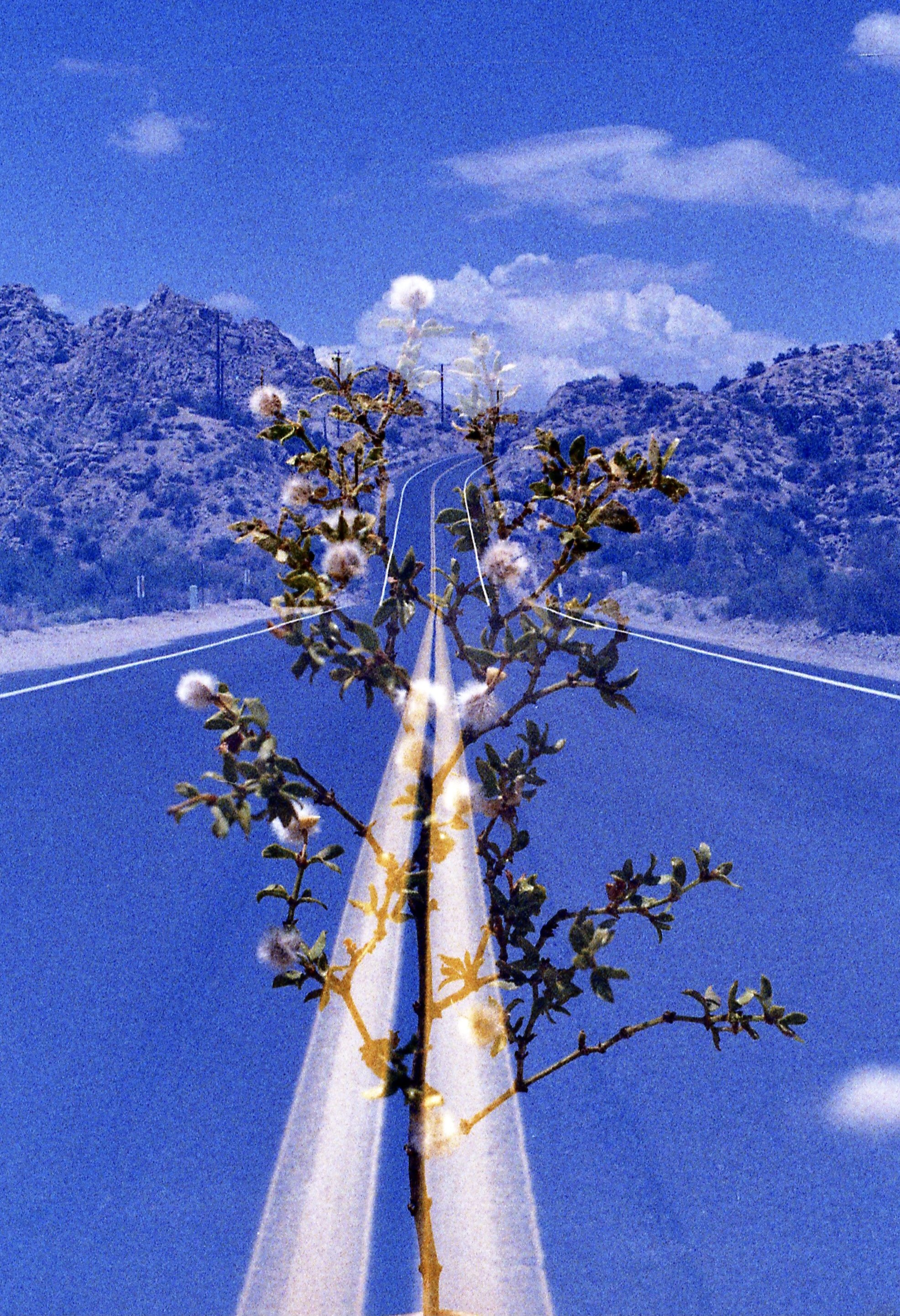 image00004.jpeg
