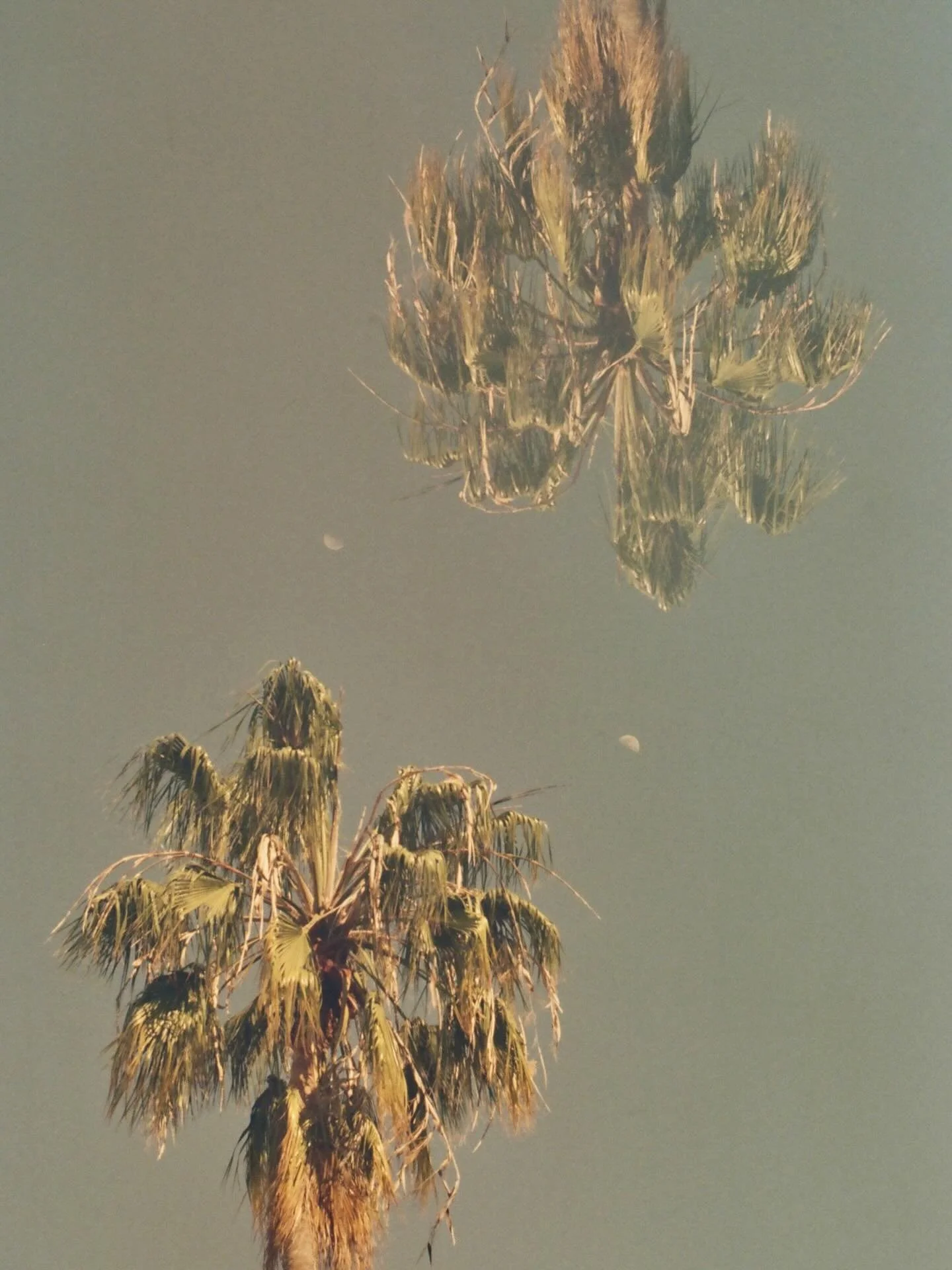 always chasing the moon 🌝