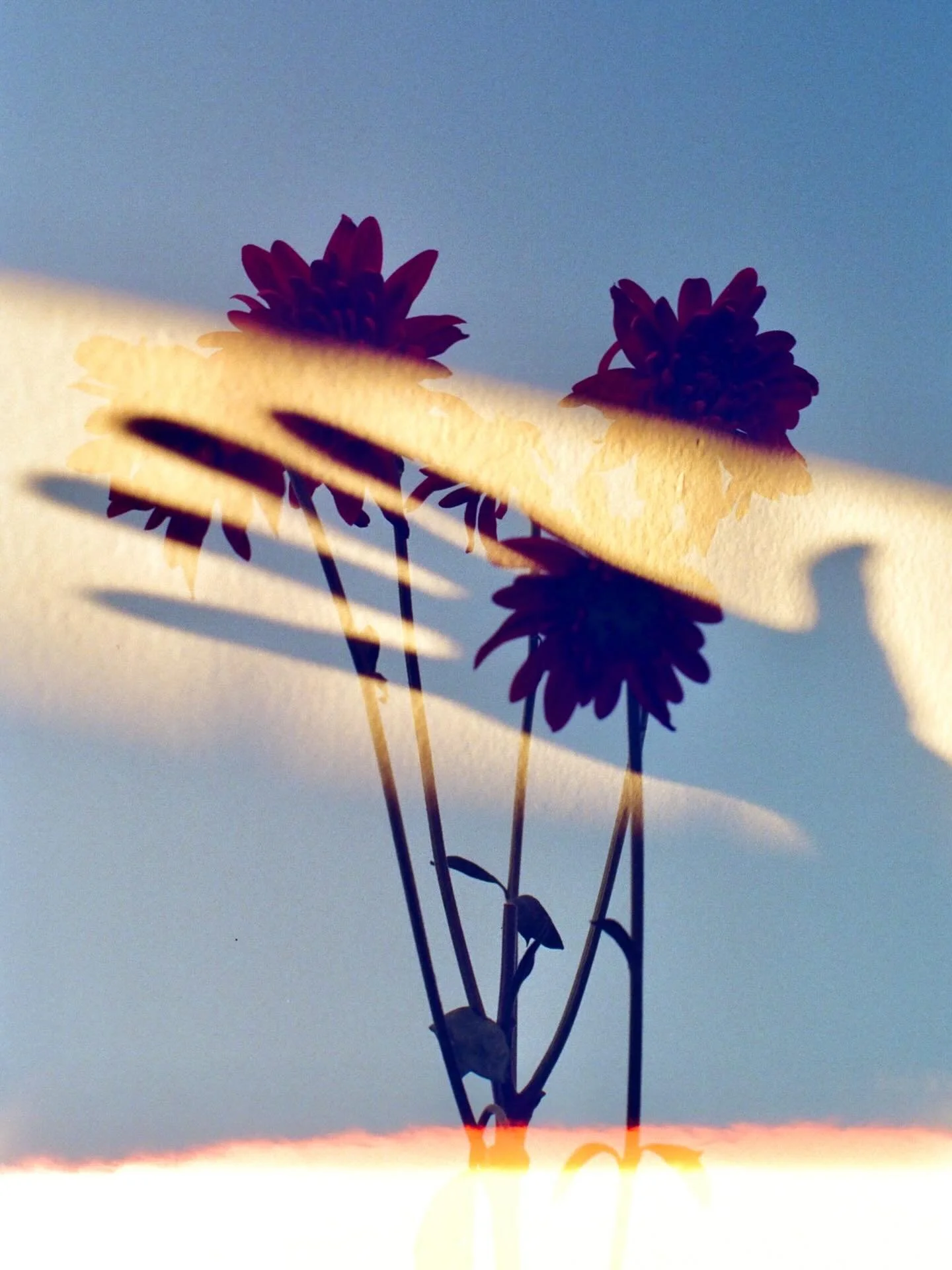 double exposure &amp; @f1rstoftheroll 🎞️