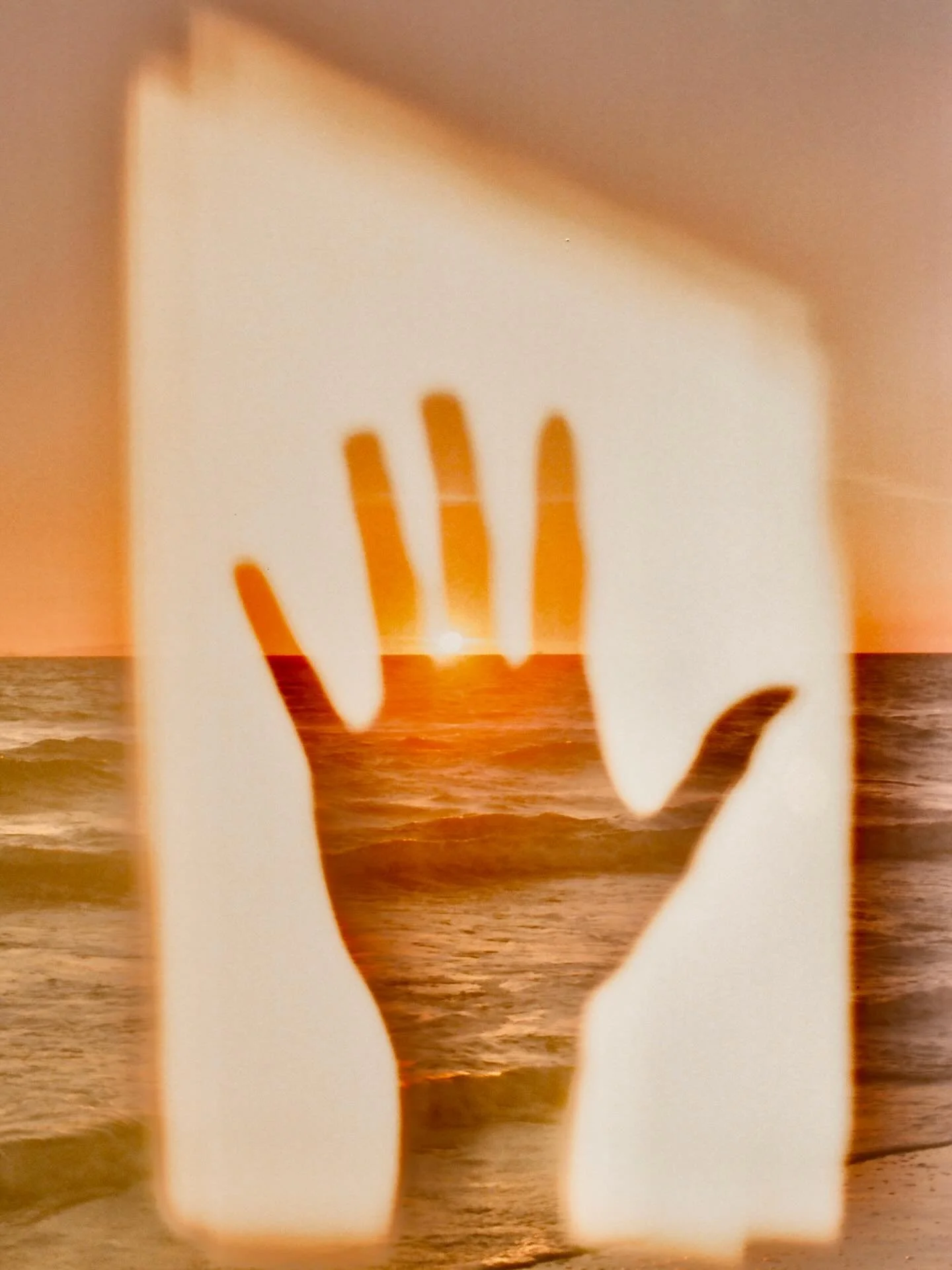 toward the light ✨