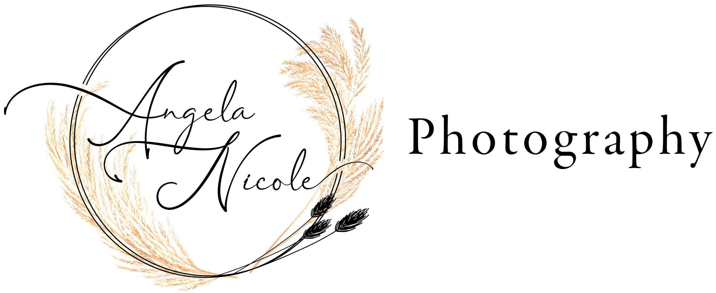 Angela Nicole Photography