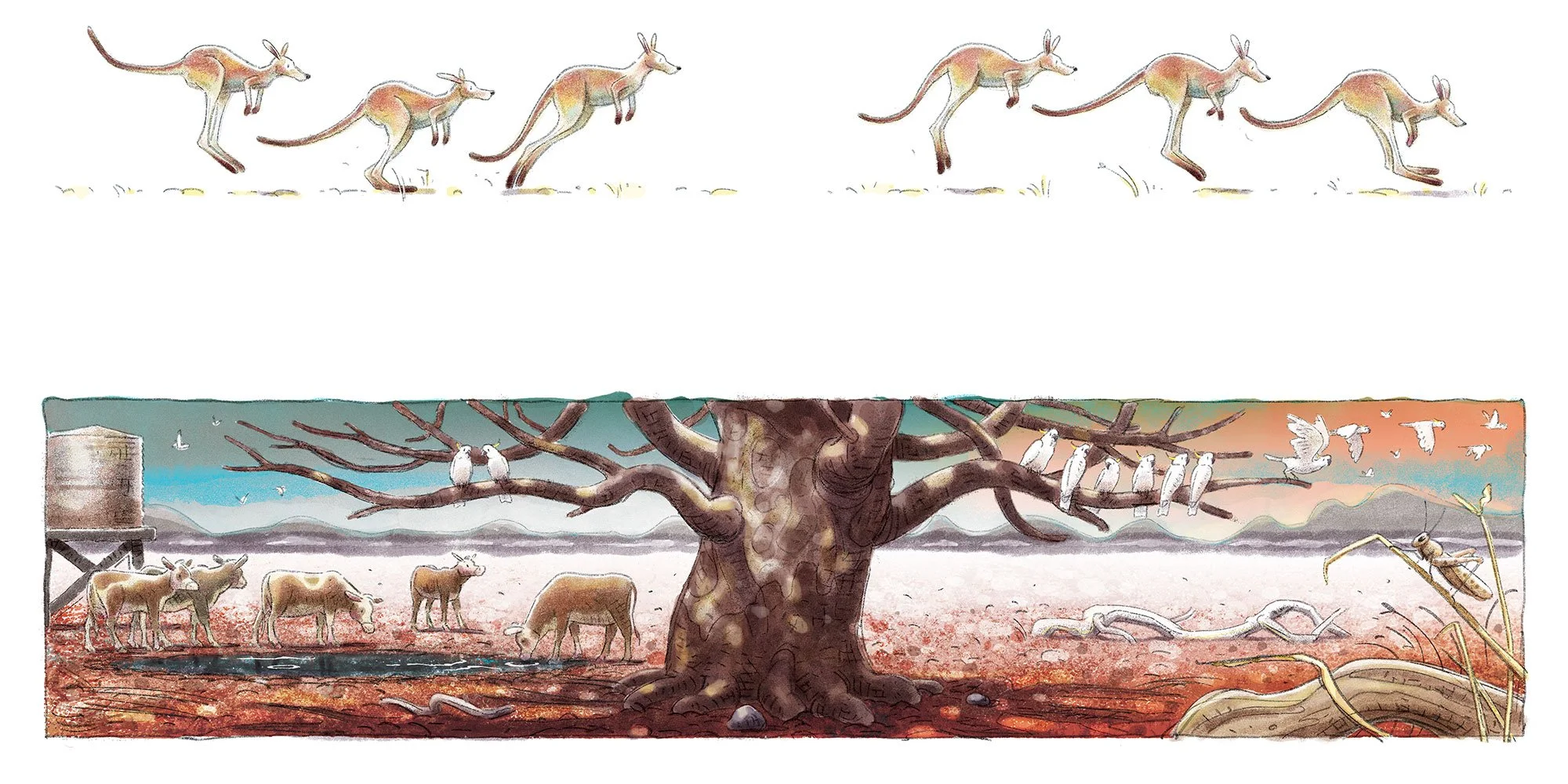 12-13-DraughtKanga.jpg