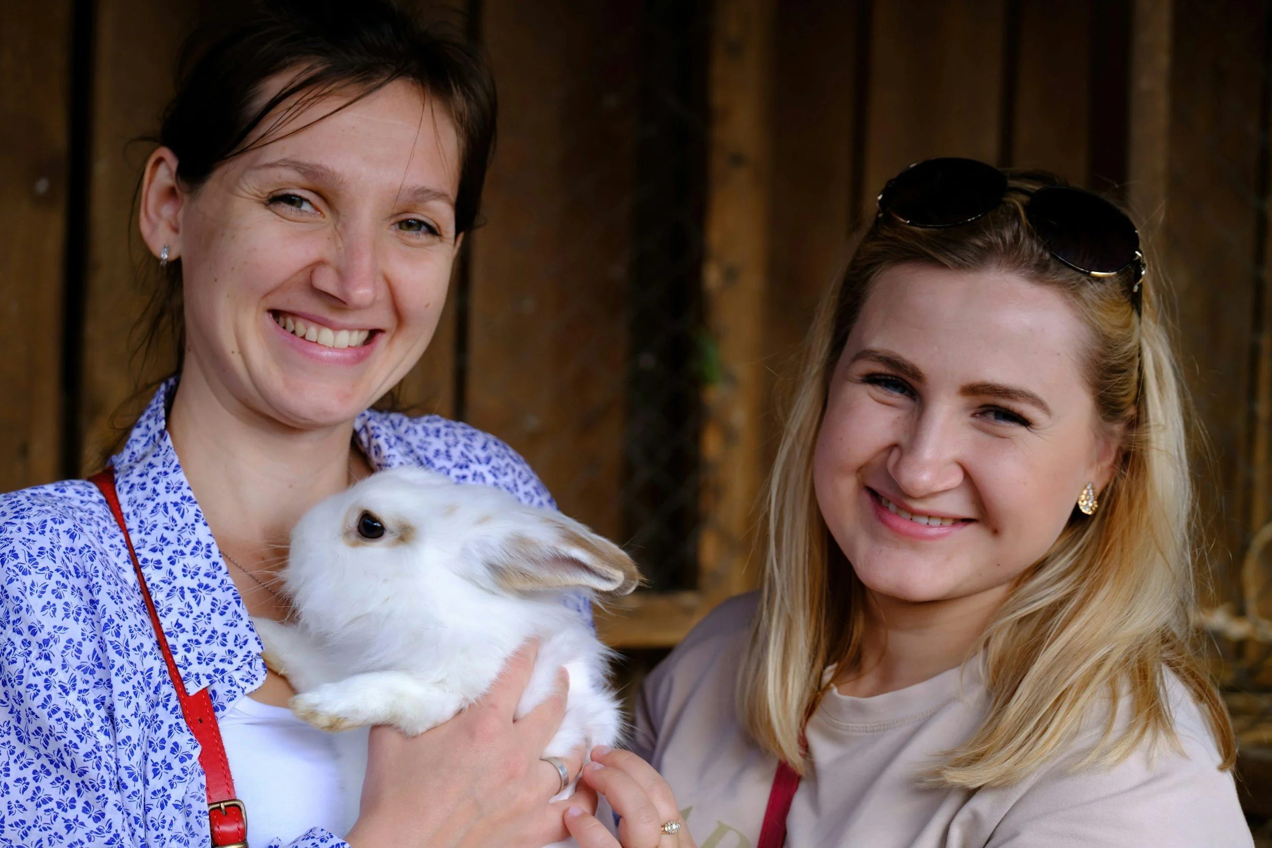 community connection after political anxiety and stress
