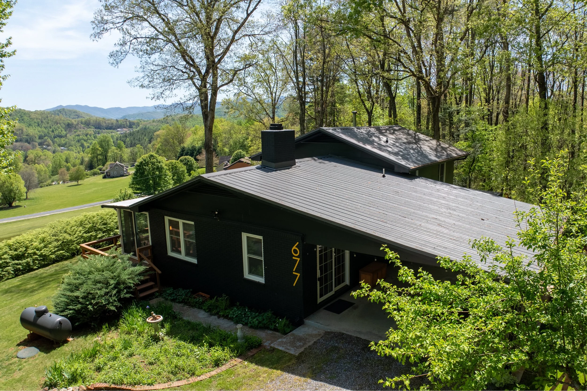 Blackbird on Monteith Branch – Sylva, North Carolina