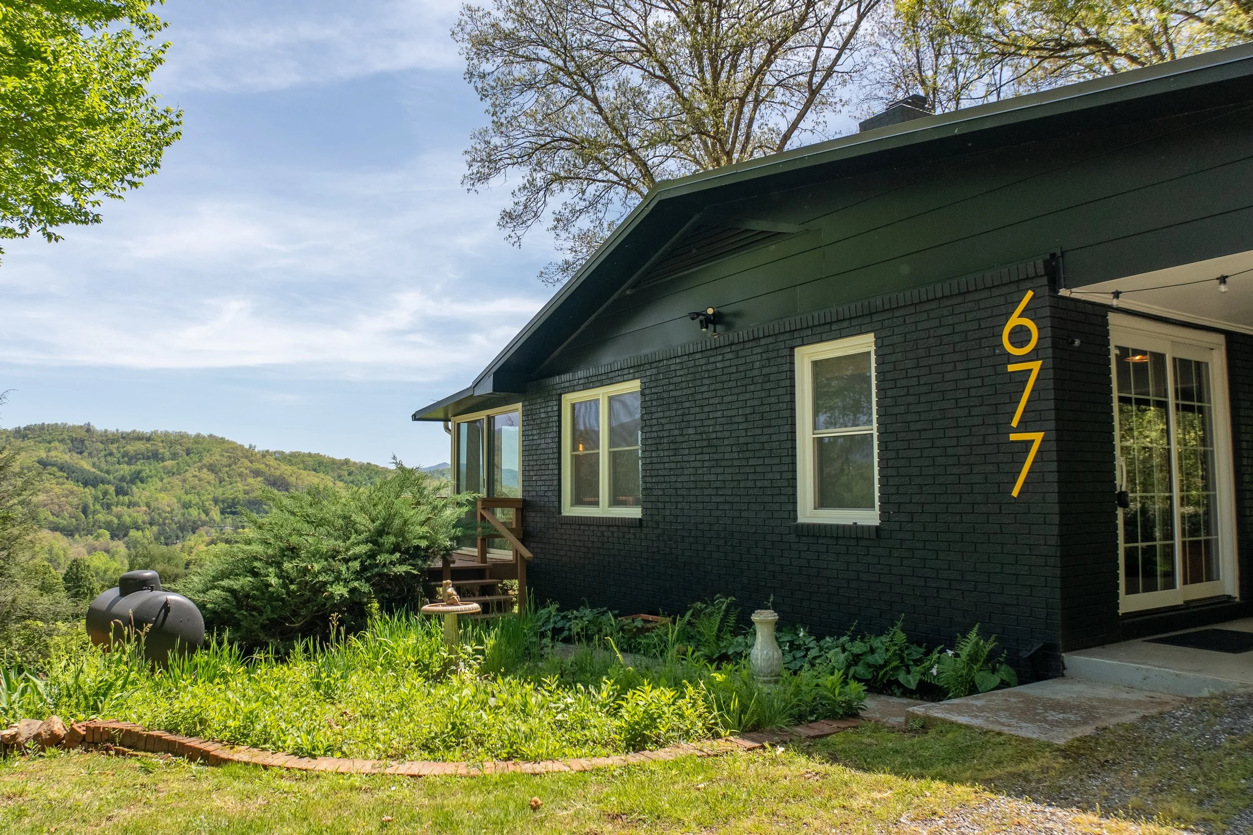 Blackbird on Monteith Branch – Sylva, North Carolina