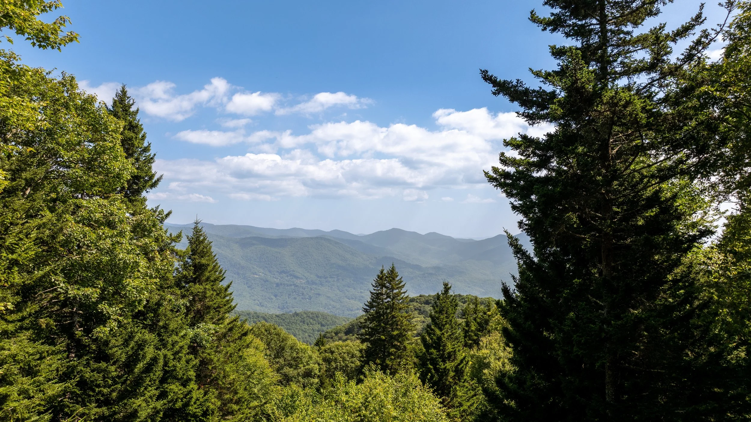 Spruce Patch – Sylva, North Carolina