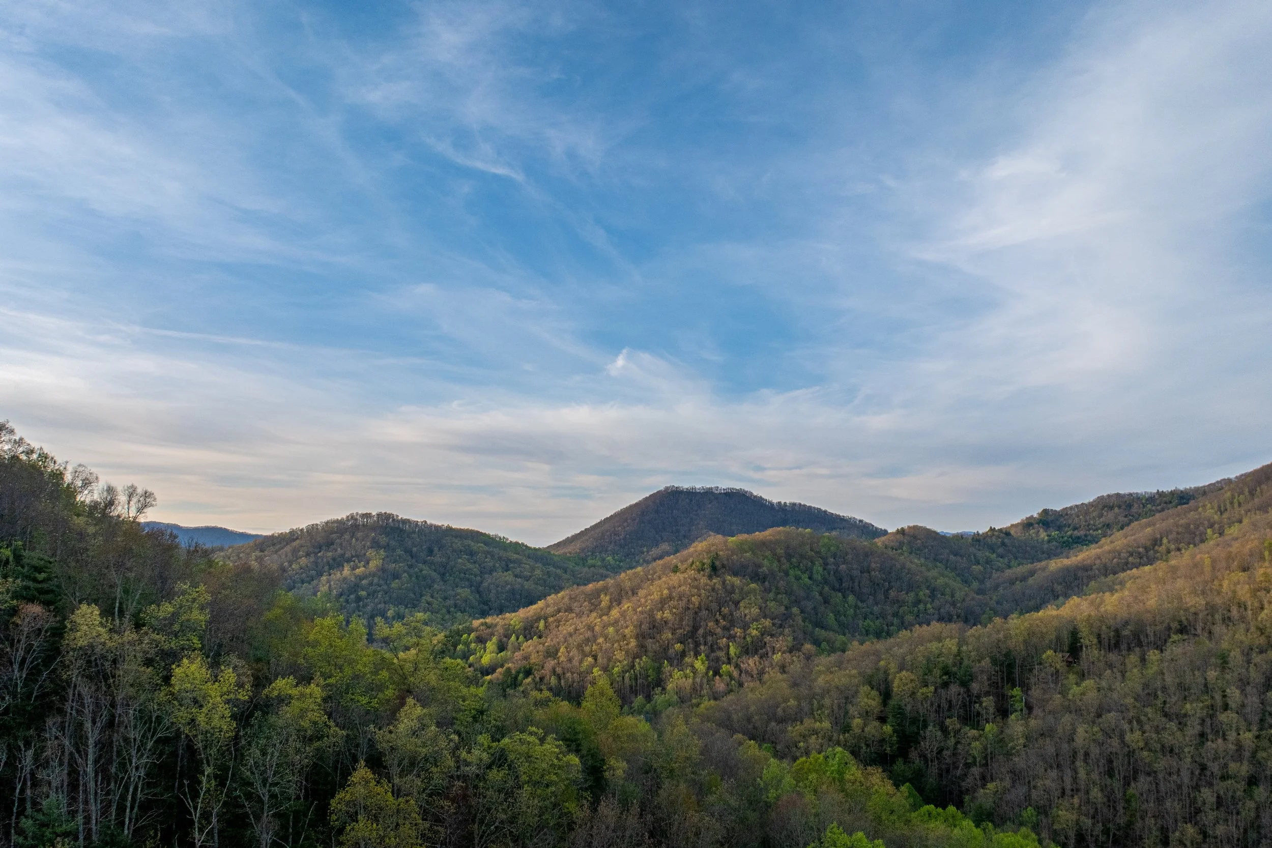 Ruby Ridge – Sylva, North Carolina