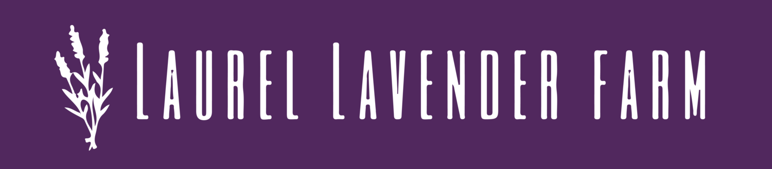 Laurel Lavender Farm