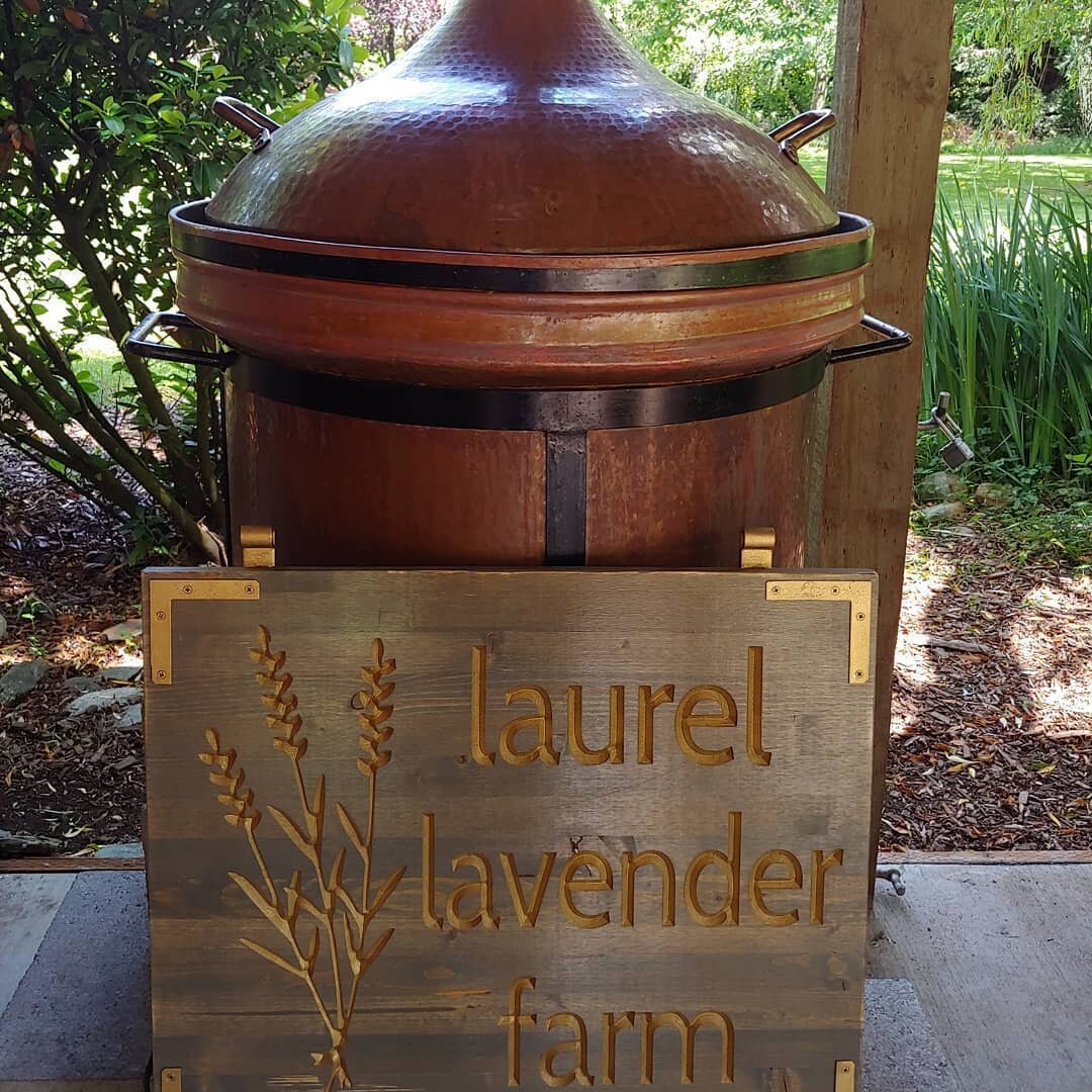 Today we prepared the big copper still to get ready to make essential oil for you this summer.
#lavender #essentialoil #lavenderfields #lavenderhydrosol