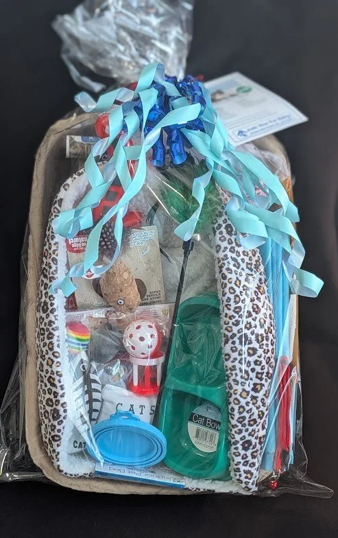 WHK-D packaged.jpg