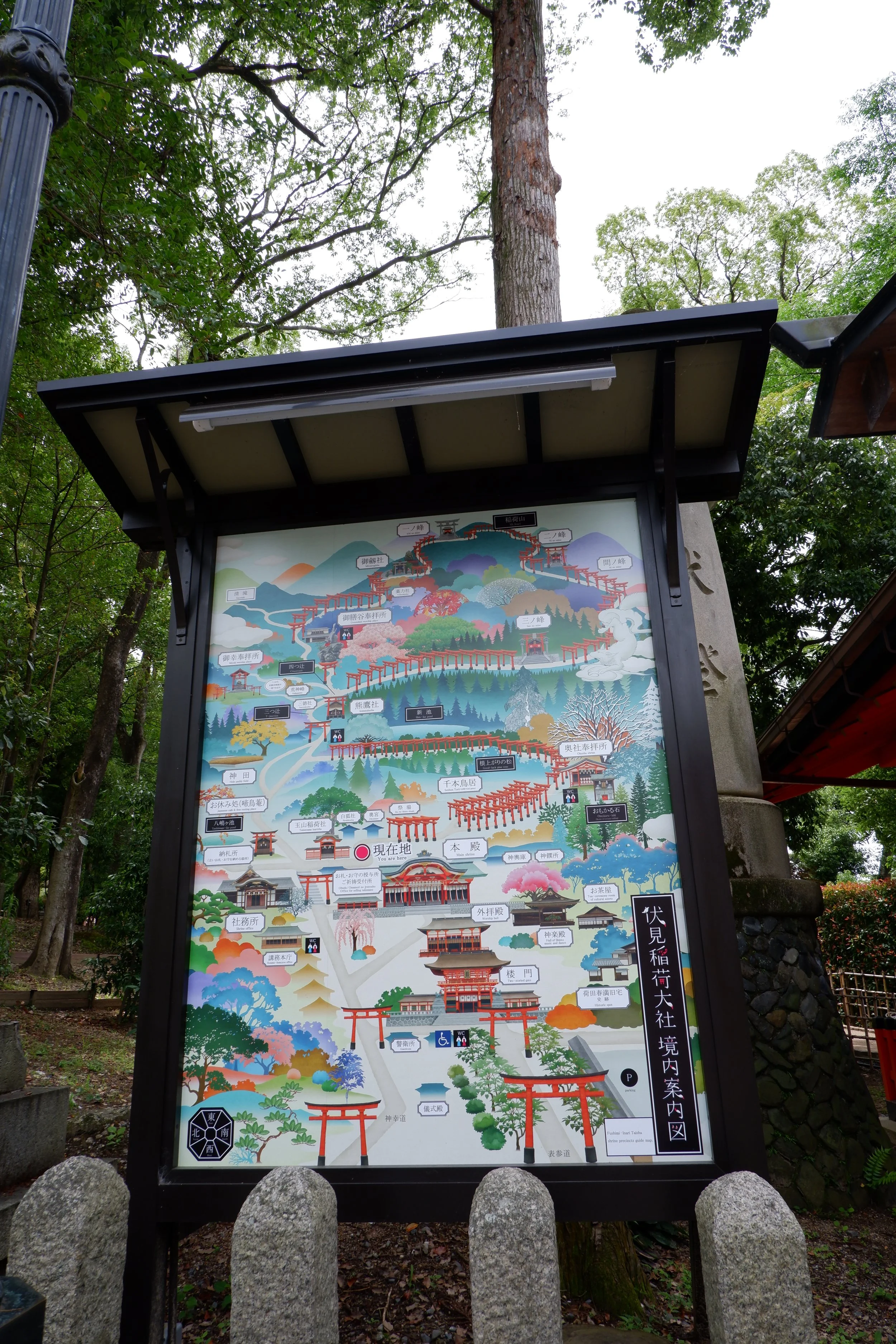 DSCF6261.JPG
