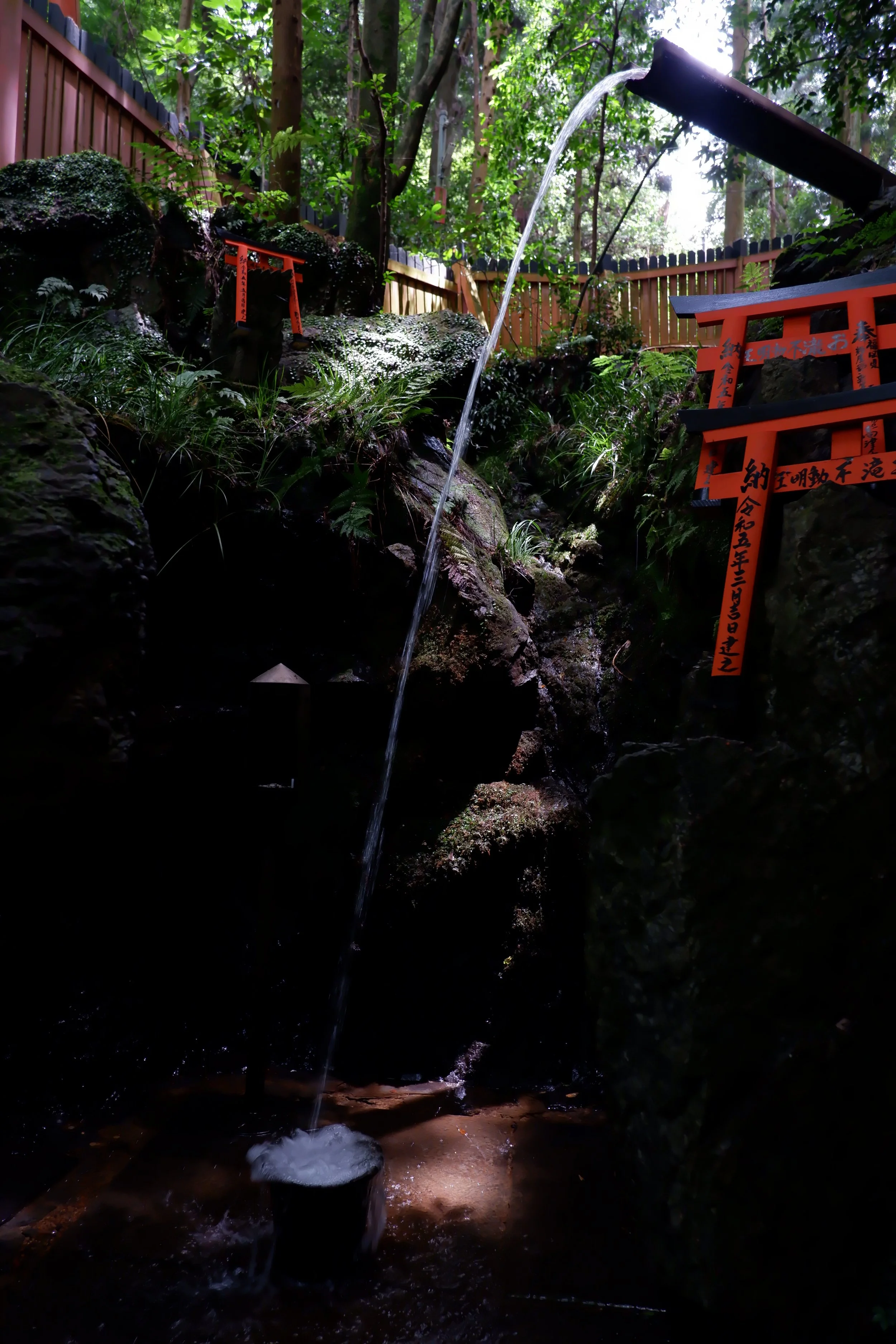DSCF6340.JPG
