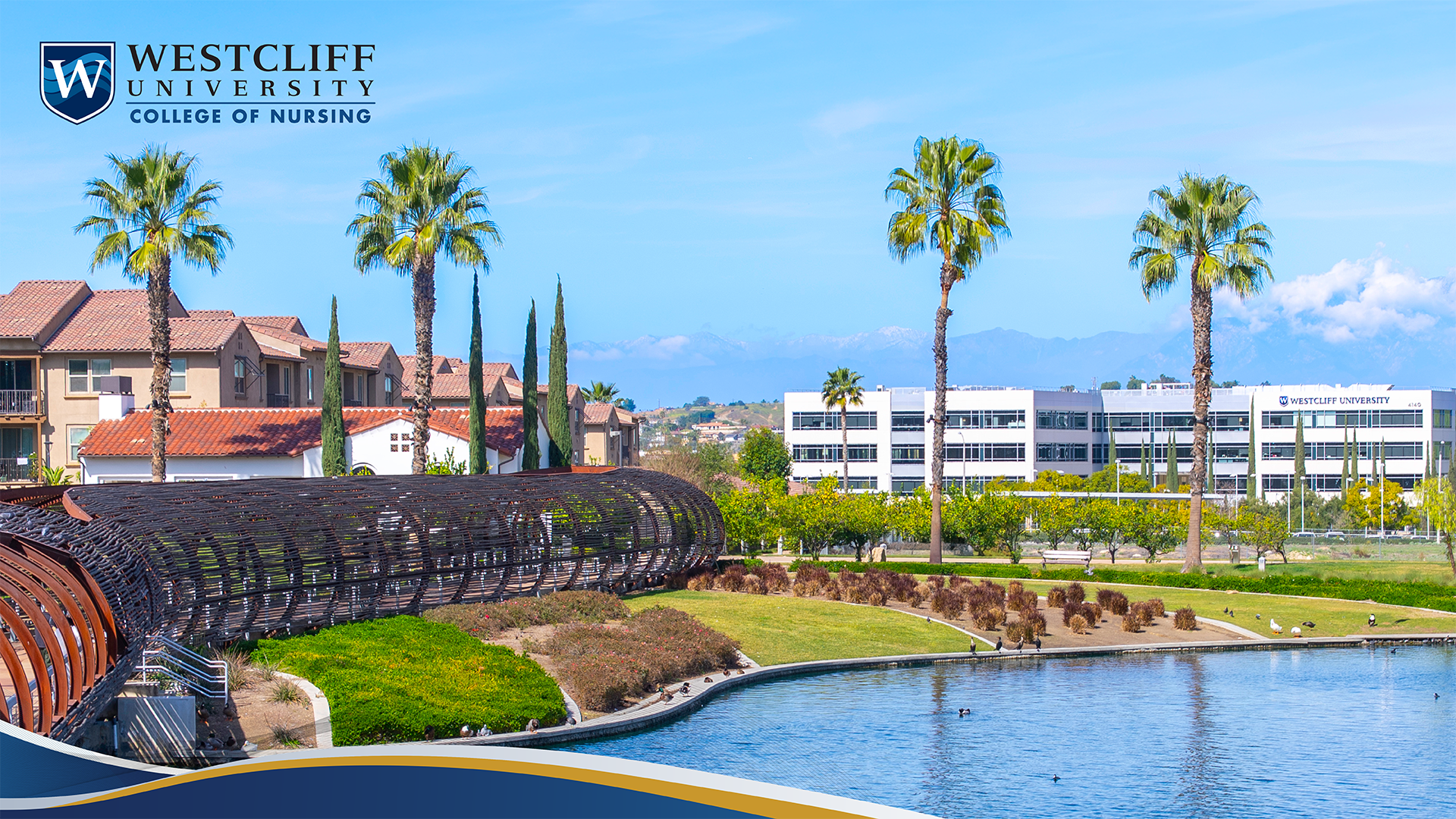 WU_Zoom-Background_Nursing_Corona-California.png