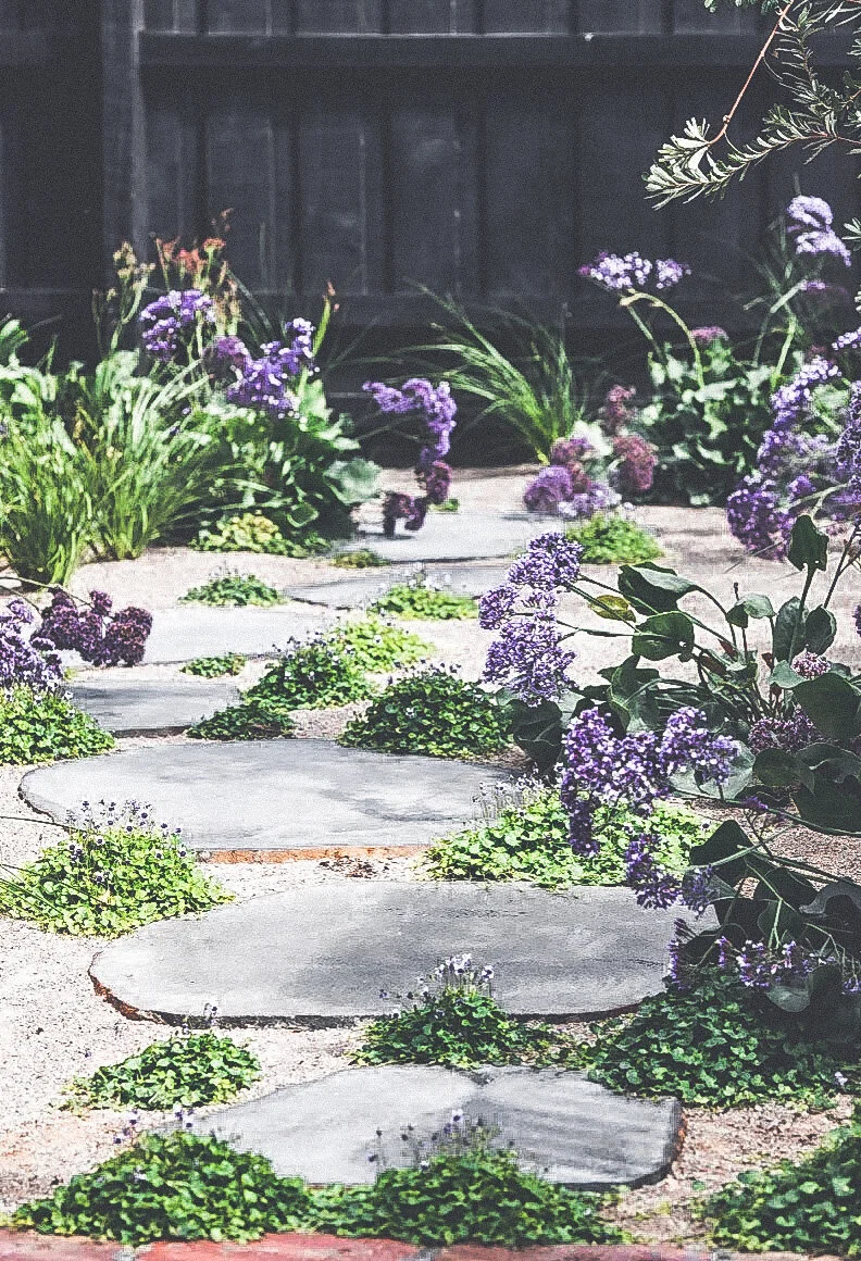Ironbark_Designs_Studio_Landscaping_Melbourne_Torquay2.JPG
