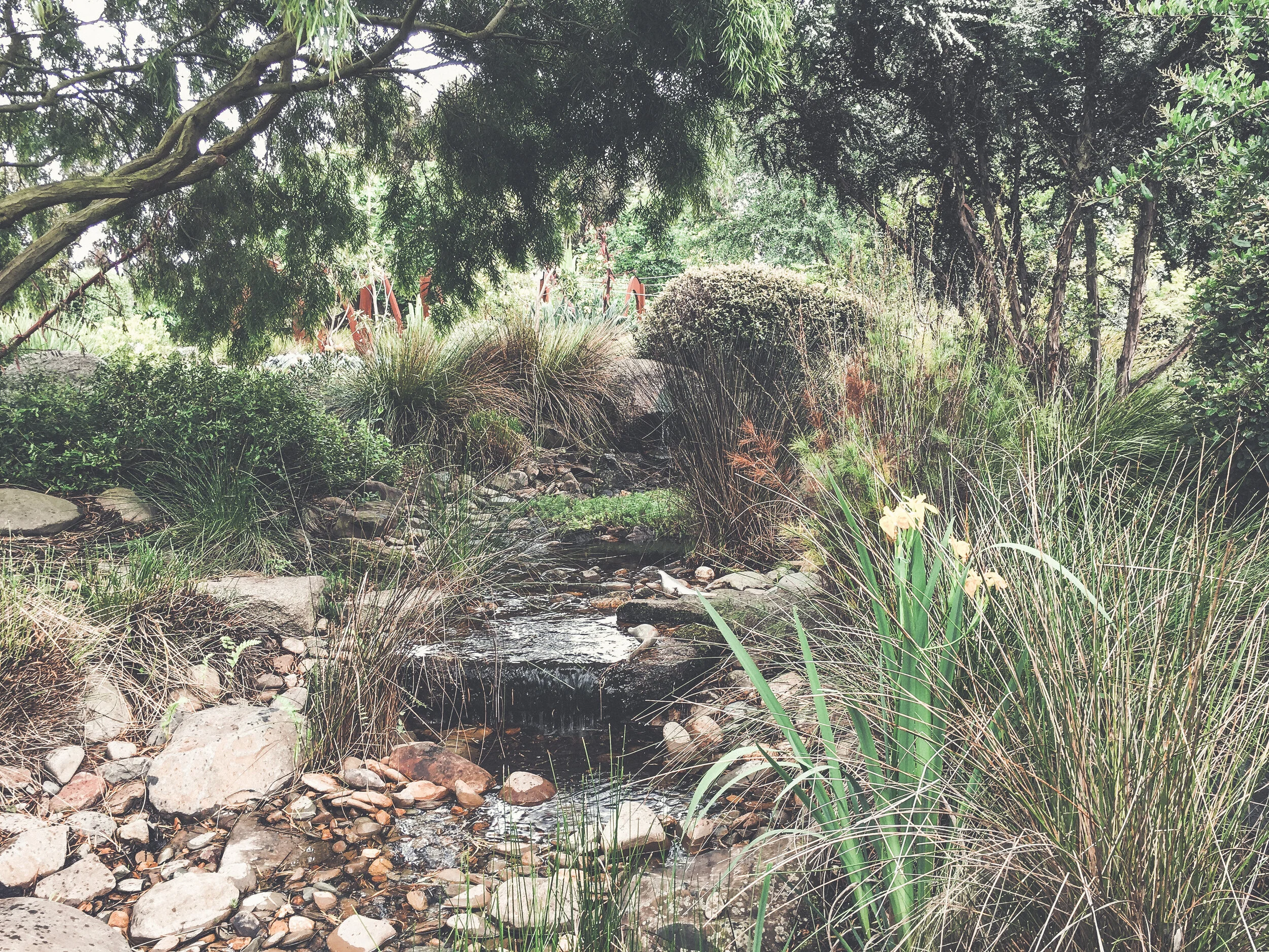 Ironbark_Designs_Studio_Landscaping_Melbourne_Torquay12.JPG