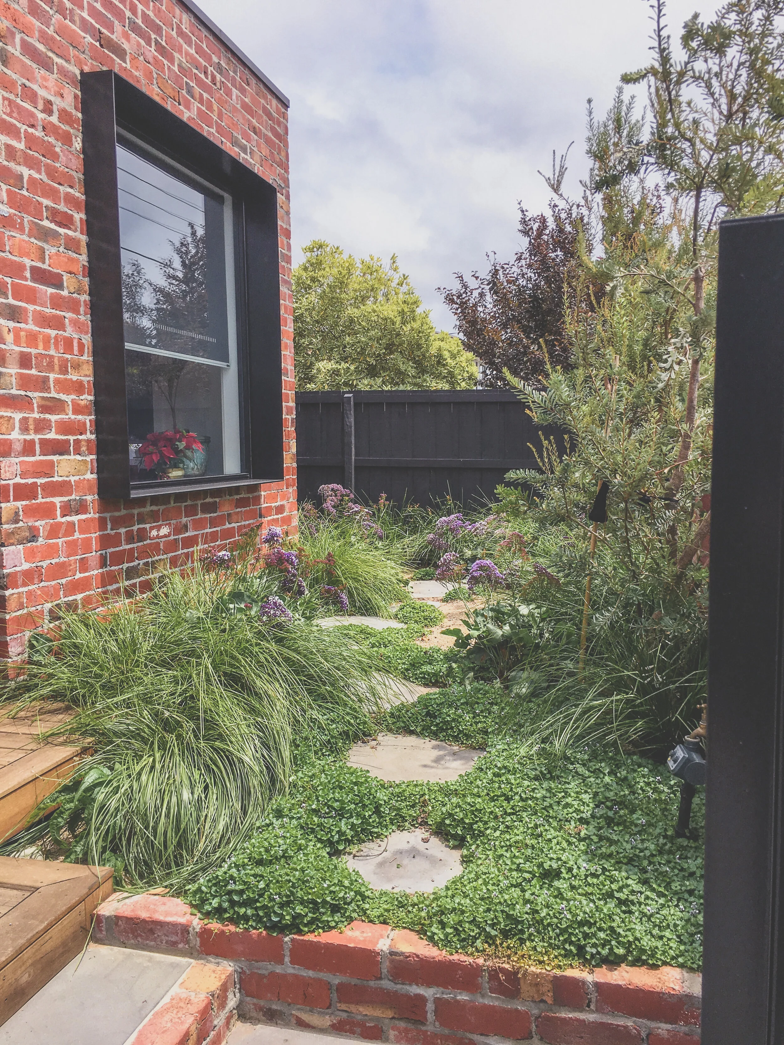 2_lawson_st_landscape_Design.JPG