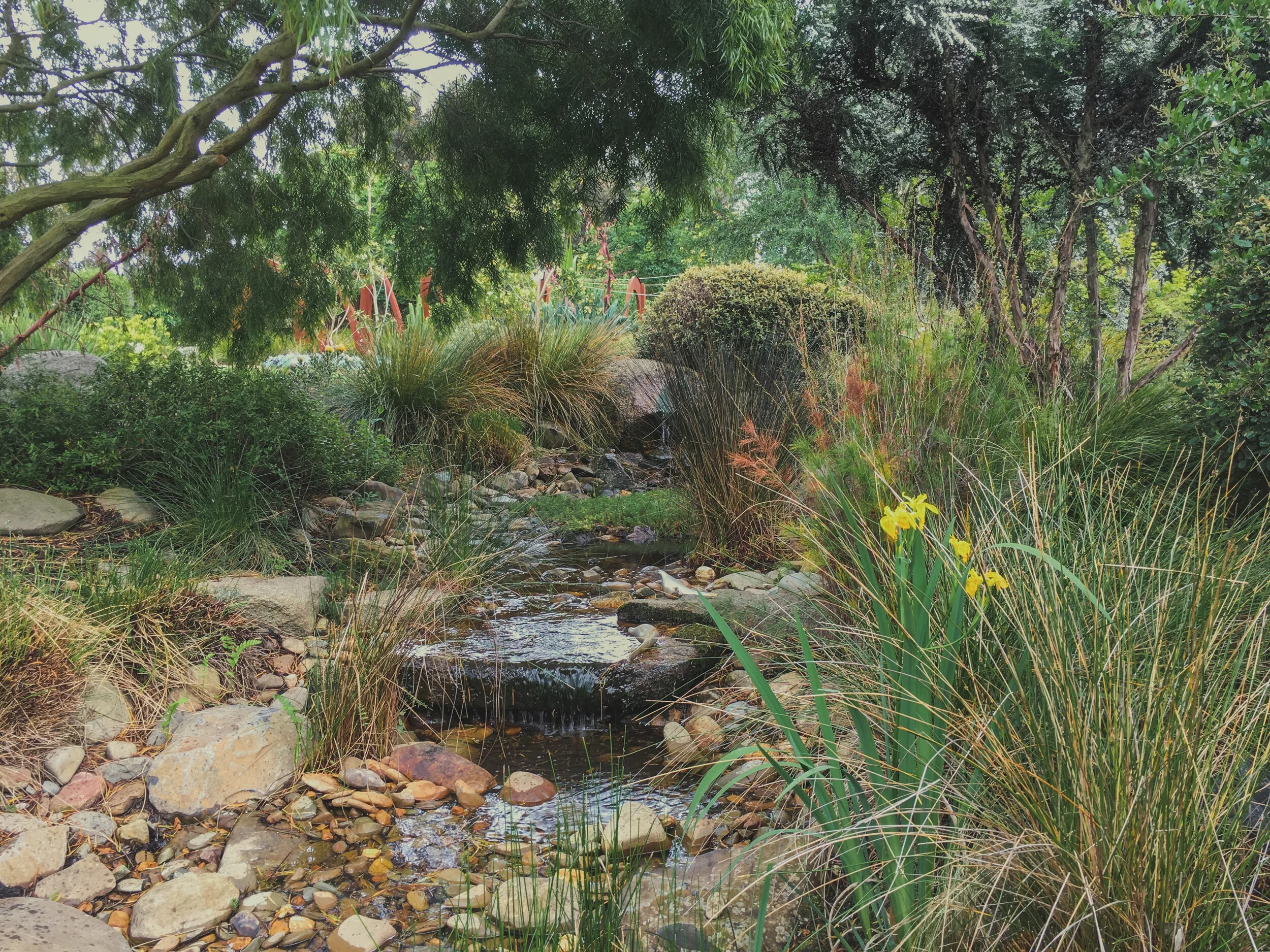 3_Grossman_20road4_Landscape_Design.JPG