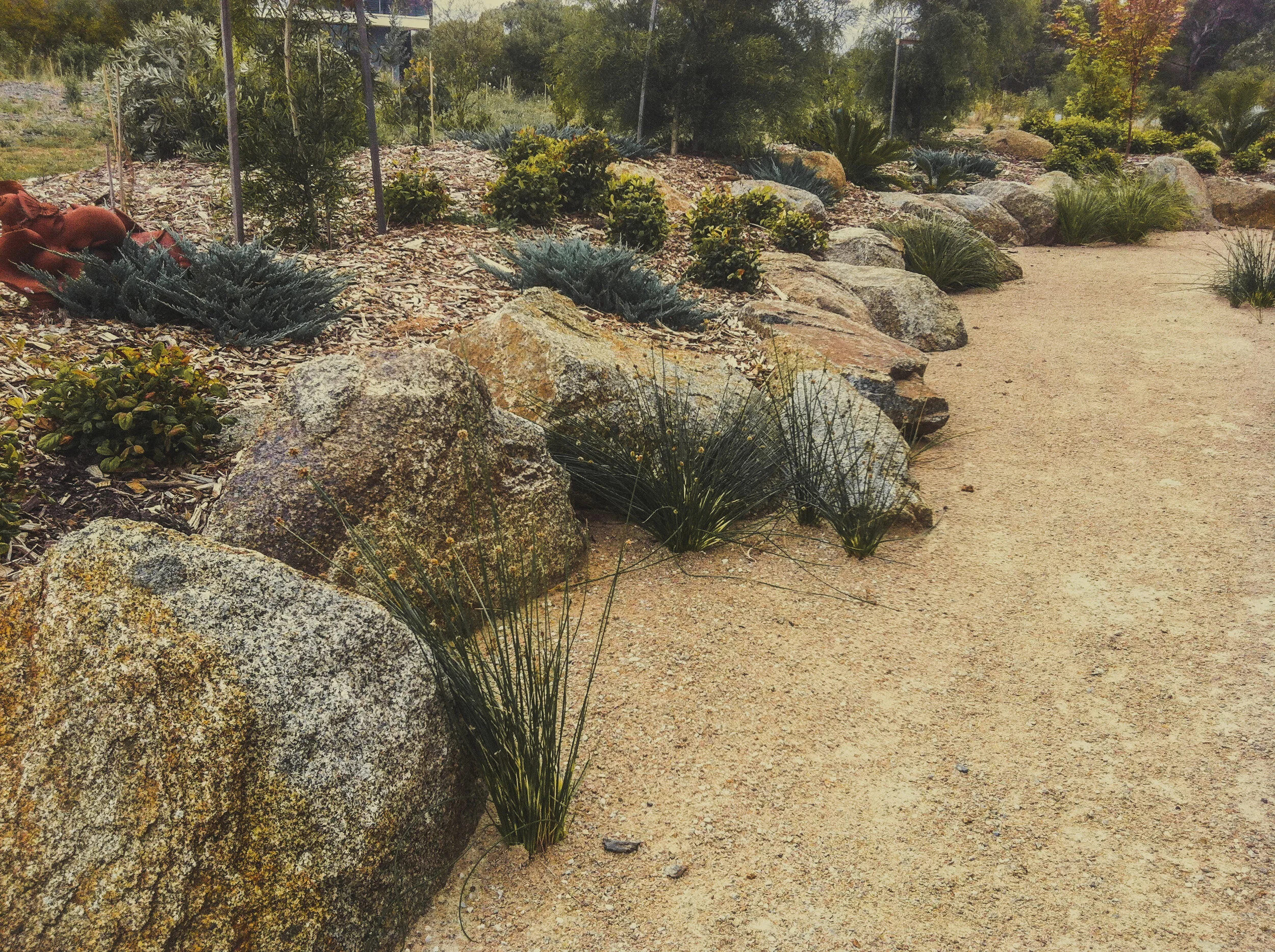 45_KYLAN%20RESI1_landscaping.JPG