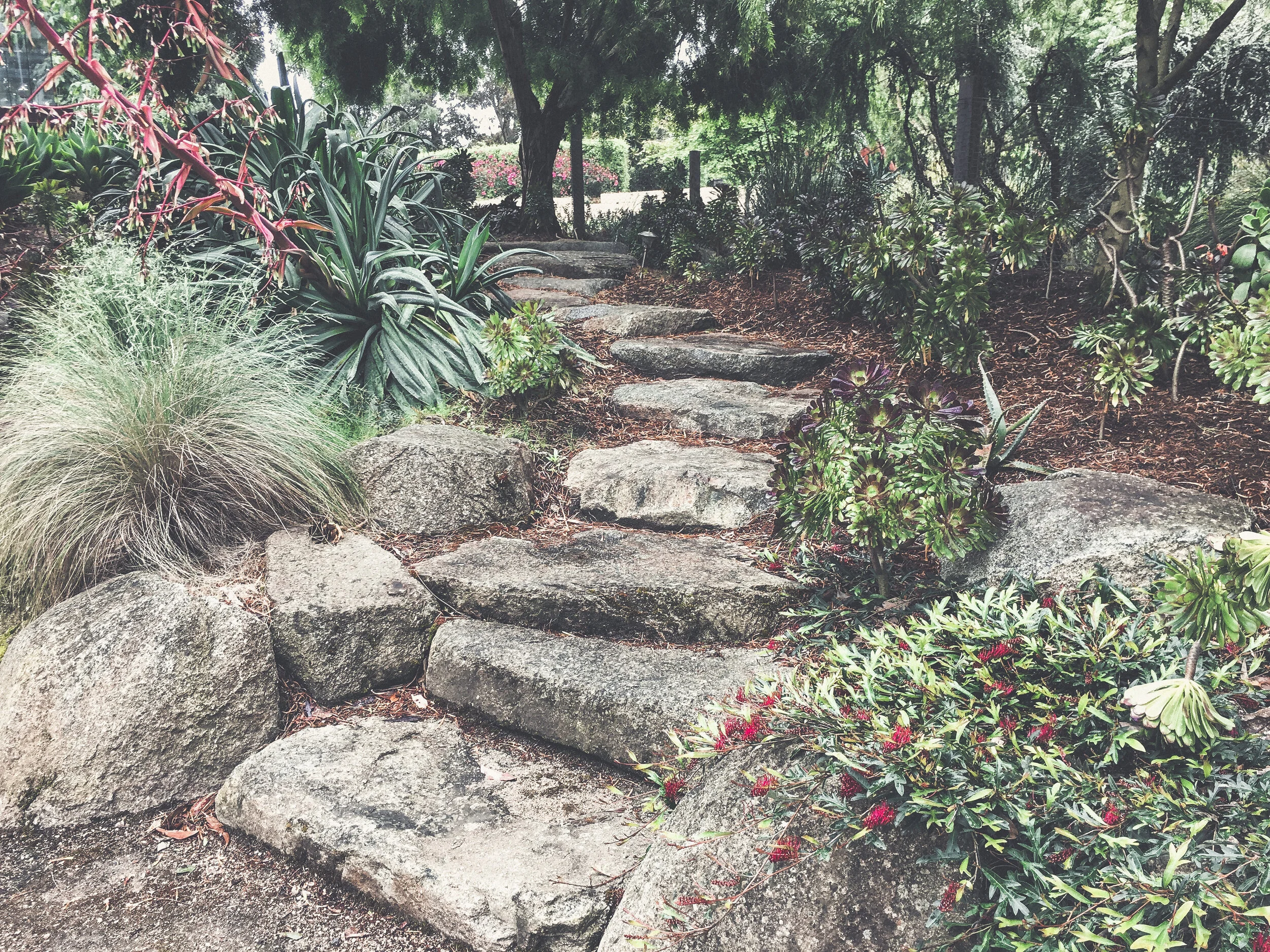 Ironbark_Designs_Studio_Landscaping_Melbourne_Torquay11.JPG