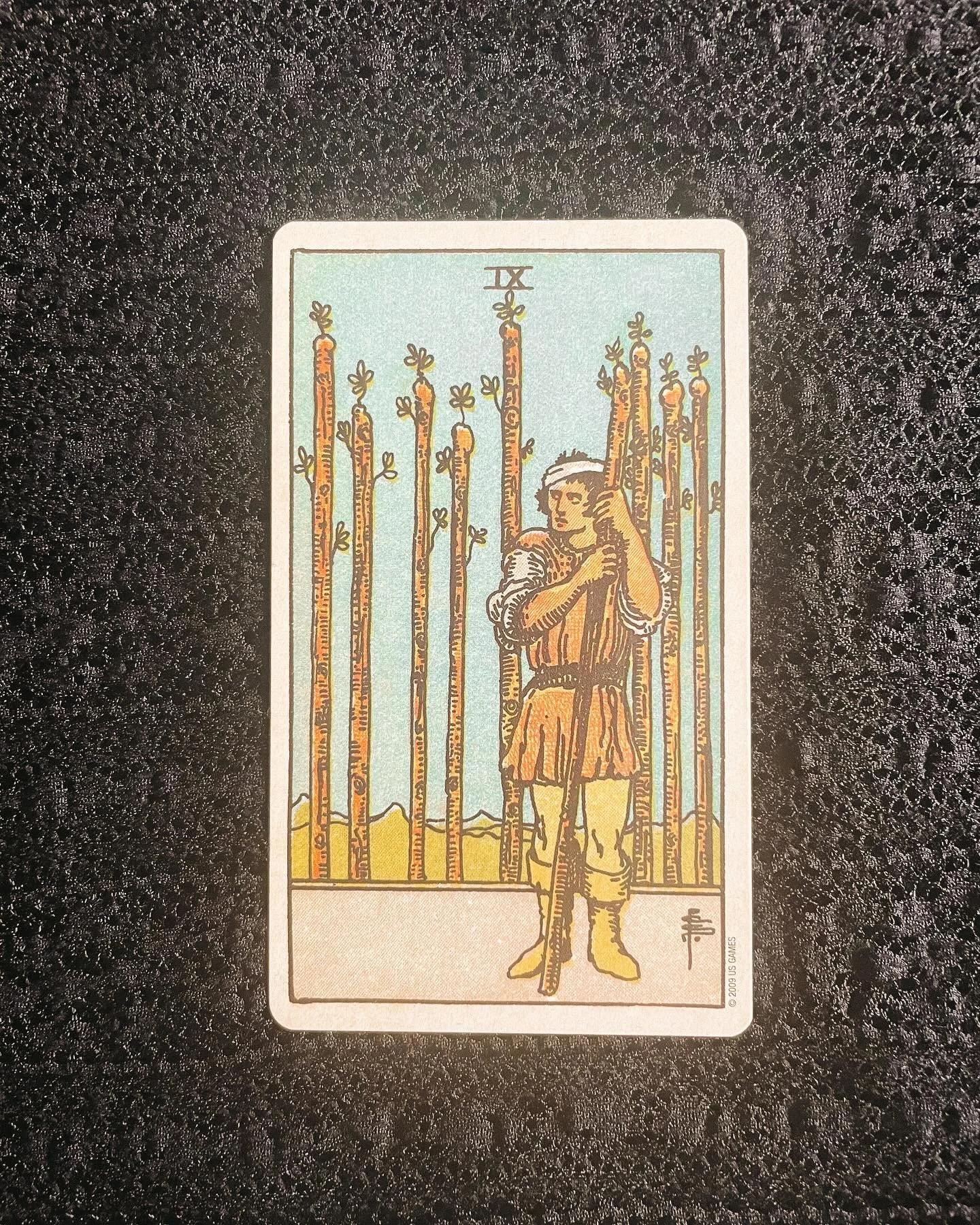 I&rsquo;ve pulled cards for our October 2024 by astrological sign &amp; alien! Find your sign or alien (that you see yourself most in) to see your fortune 🔮✨ (Aries~Cancer are in previous posts, Sagittarius~Pluto Alien in following)

Leo: &ldquo;9 o