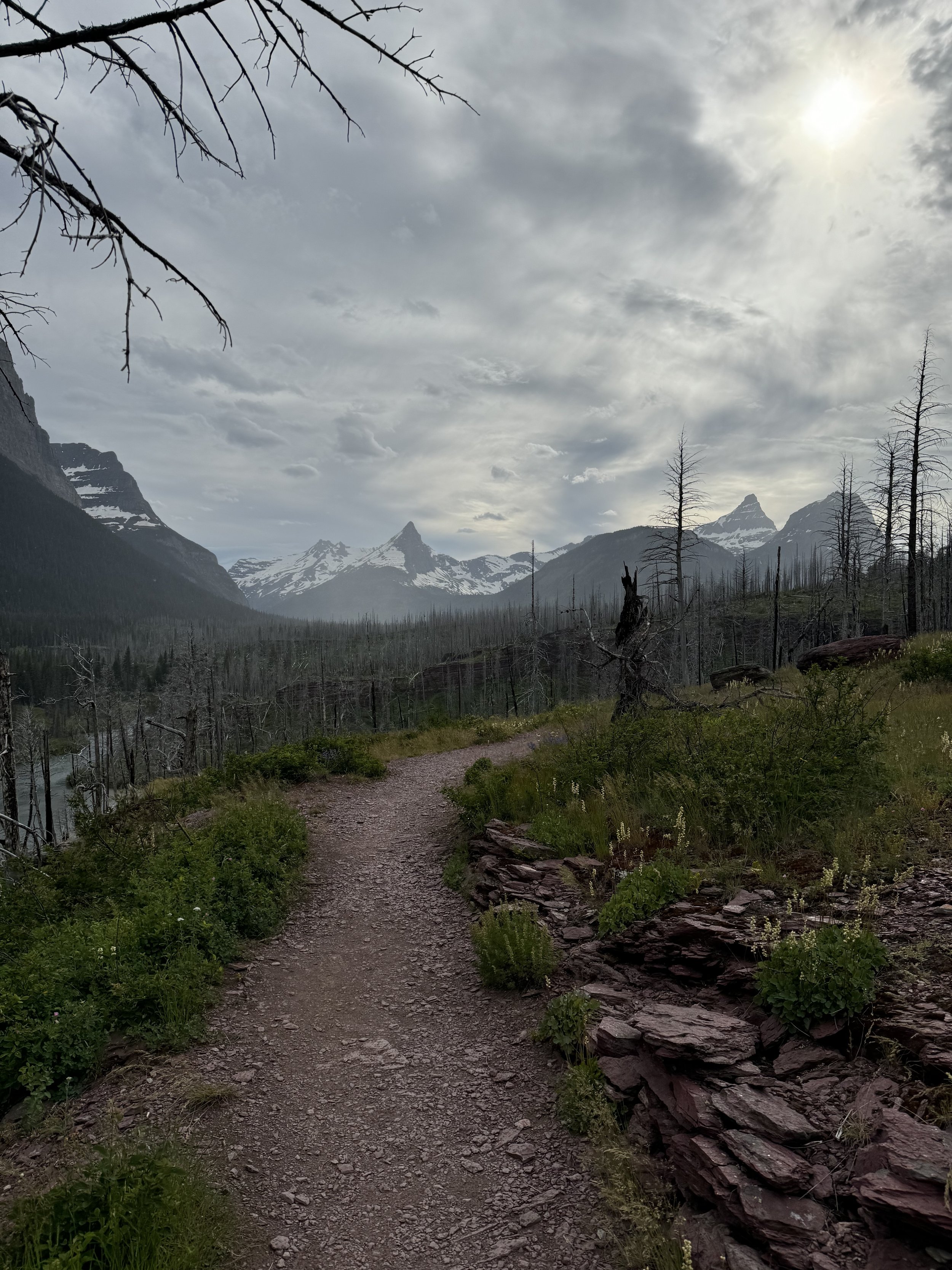 Views - St. Mary Falls Hike - Glacier N.P.