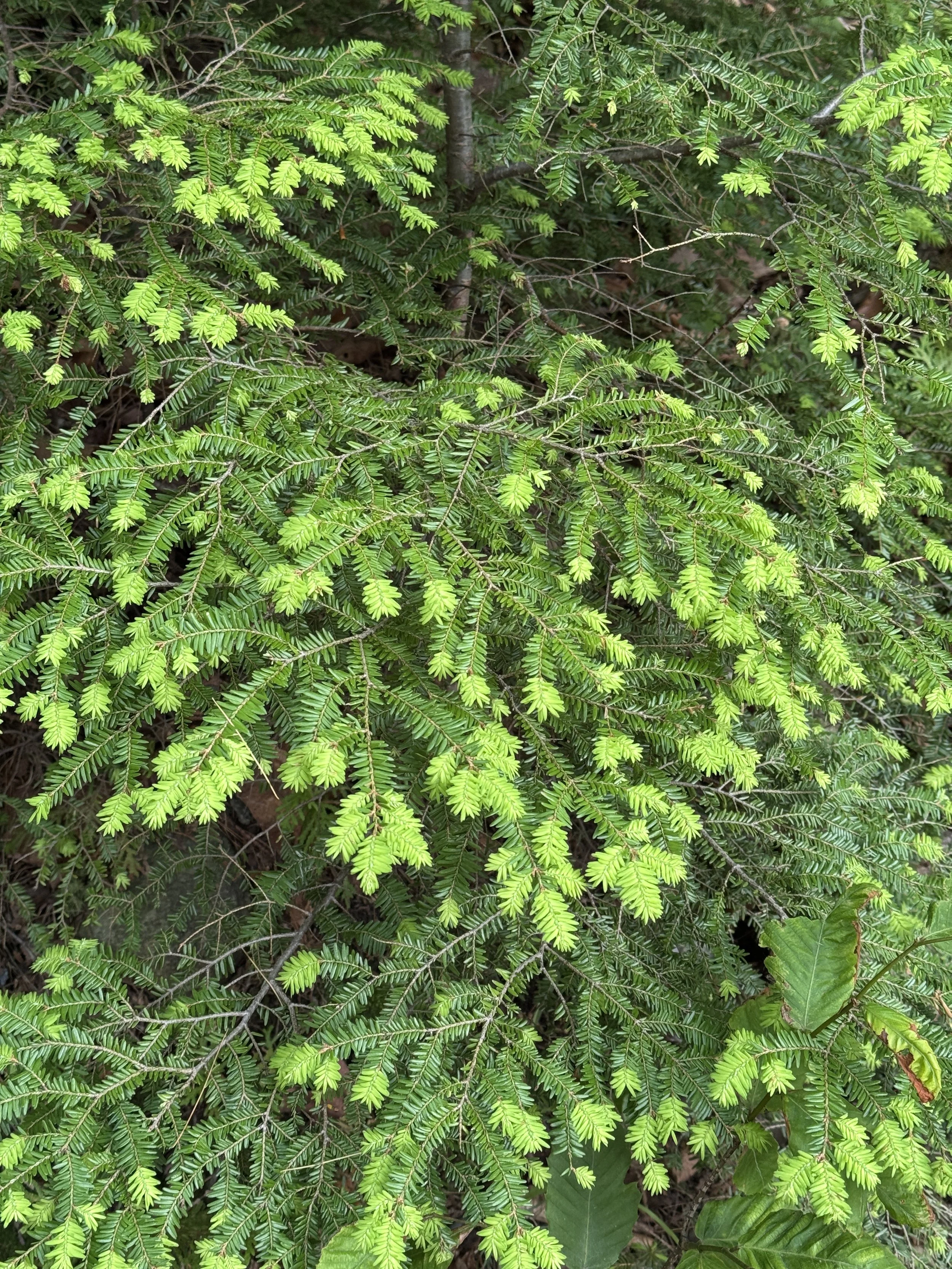 IMG_5512.JPG