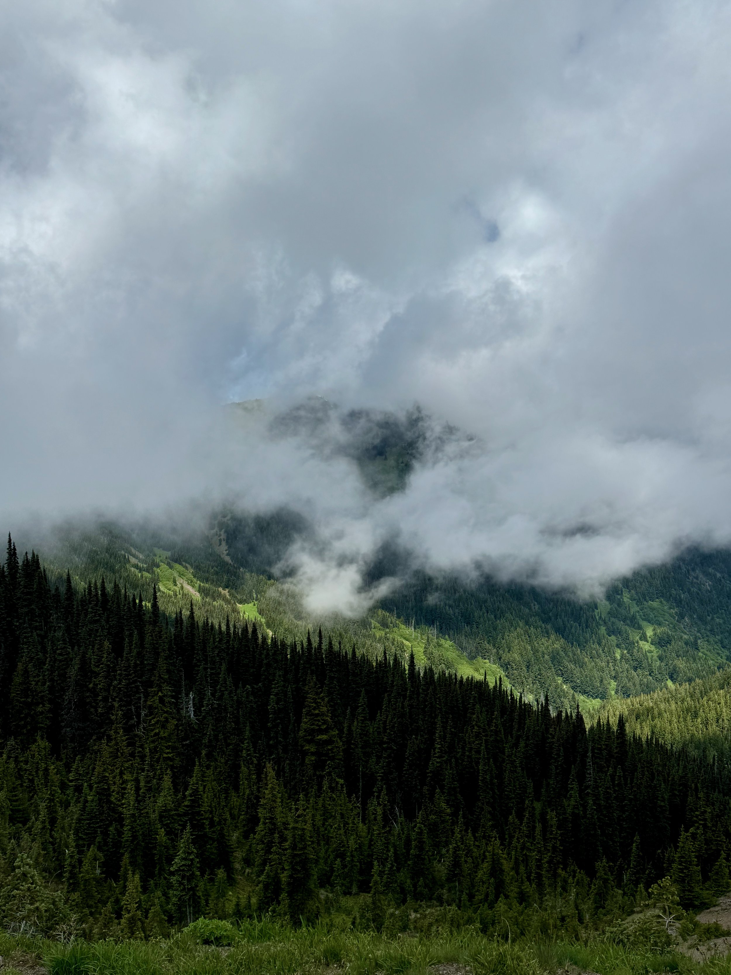 Hiking in the clouds - Yes Please! Hurricane Ridge Views - Olympic National Park