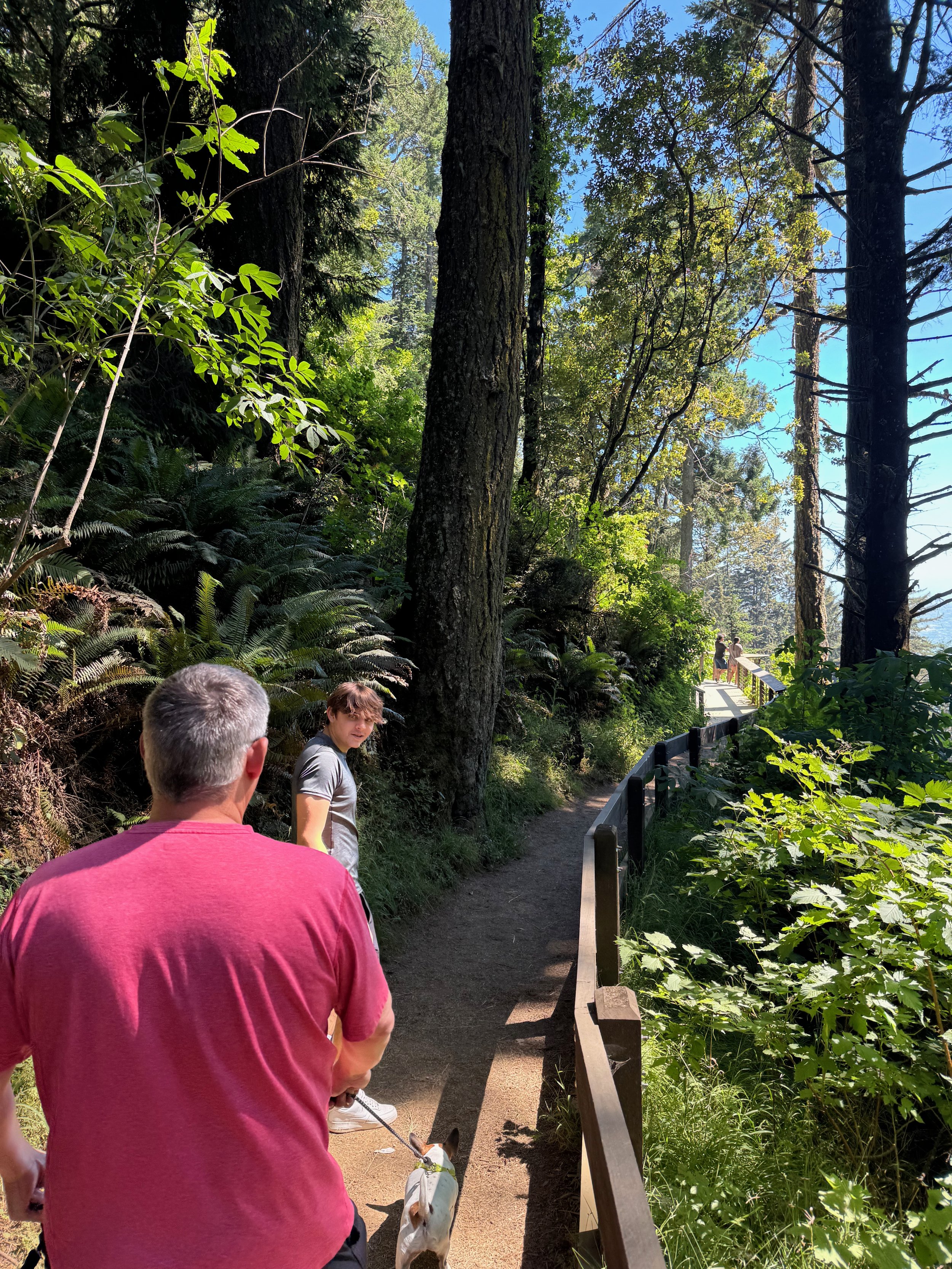 Trail to Natural Bridges at Brookings OR - Hwy 101 - Pacific Coast Highway