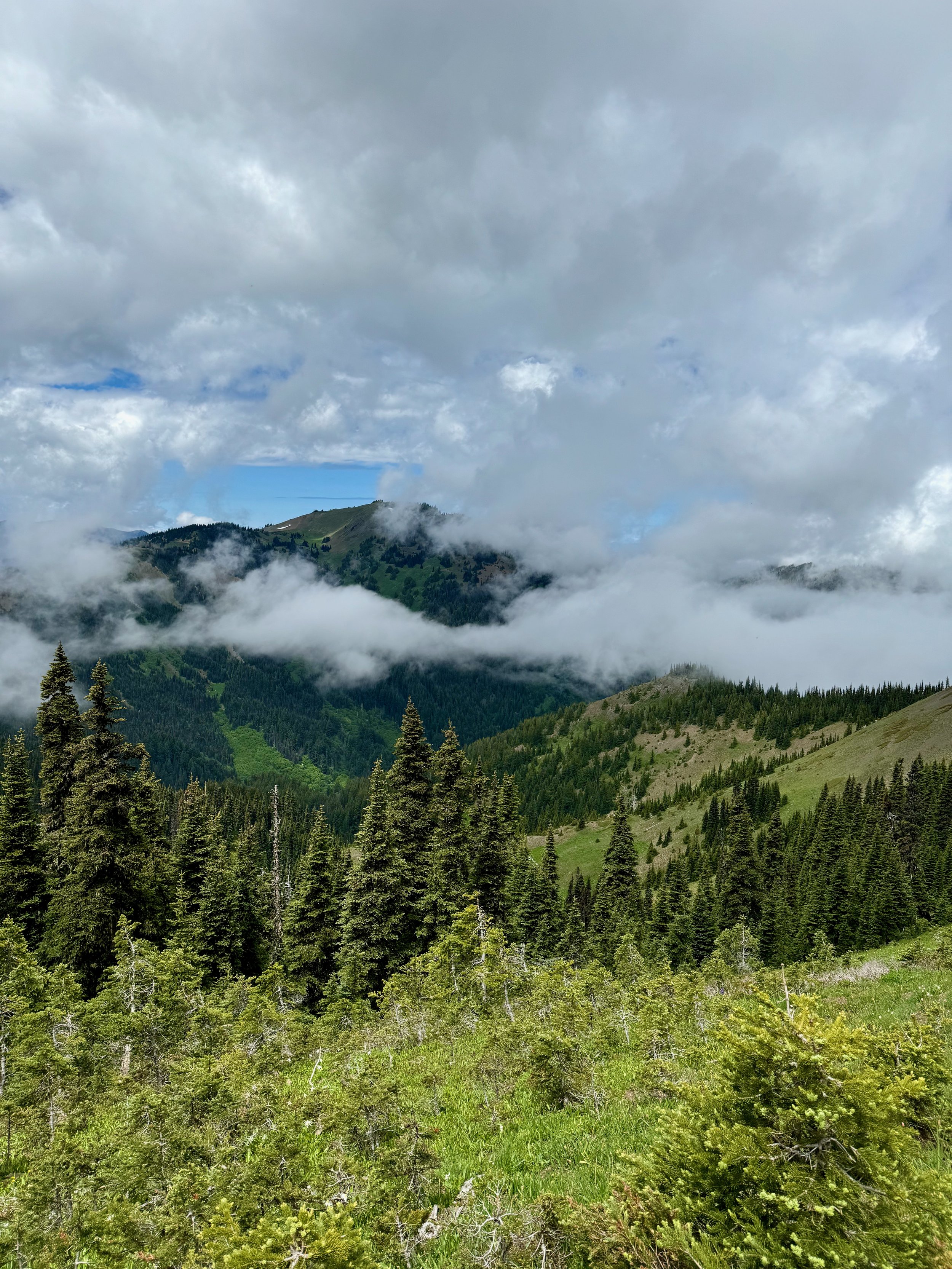 Another view from atop High Ridge Trail - Hurricane Ridge Views - Olympic National Park