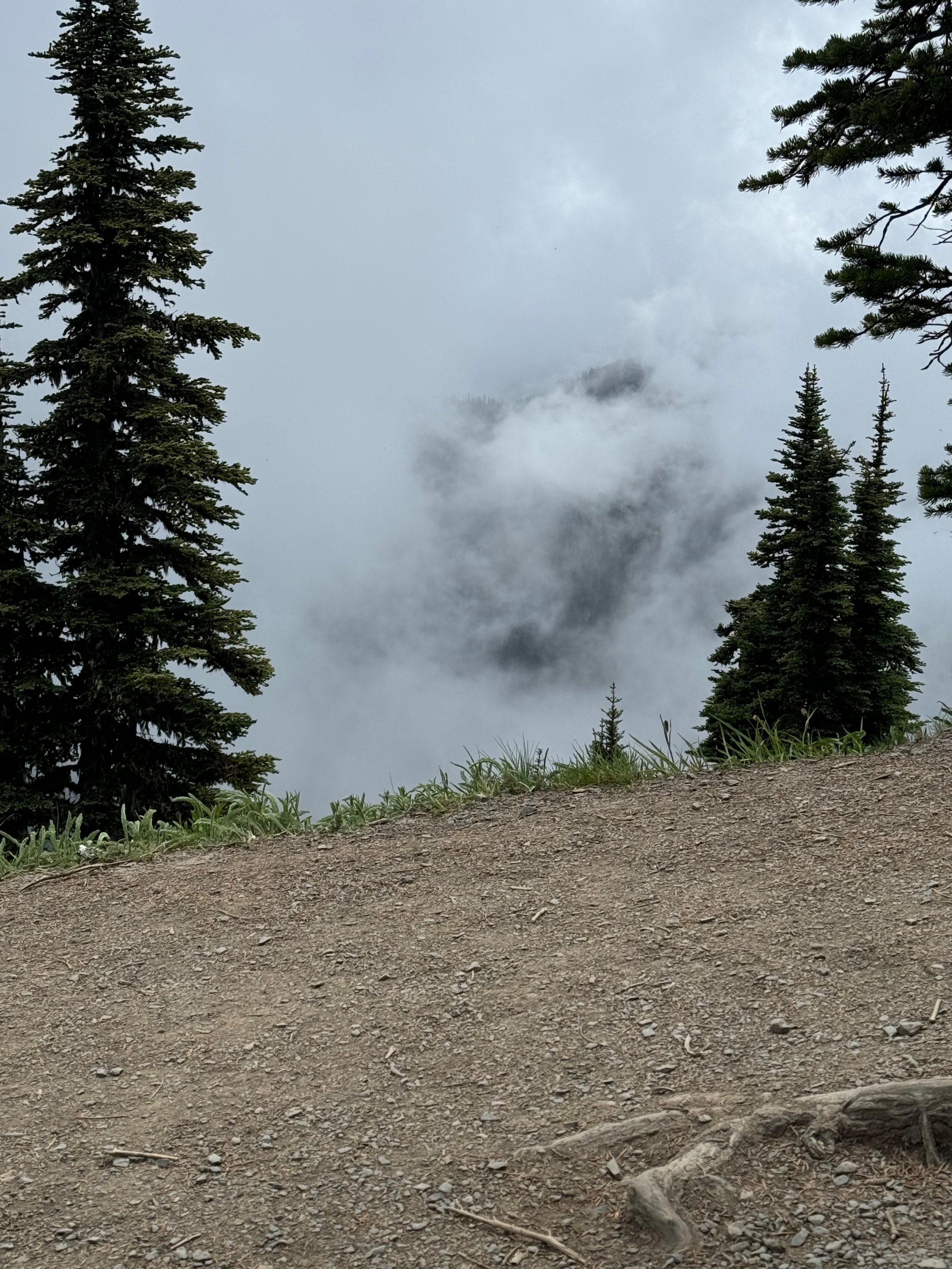 Clouds moving in on our hike - Hurricane Ridge High Ridge Trail Views - Olympic National Park