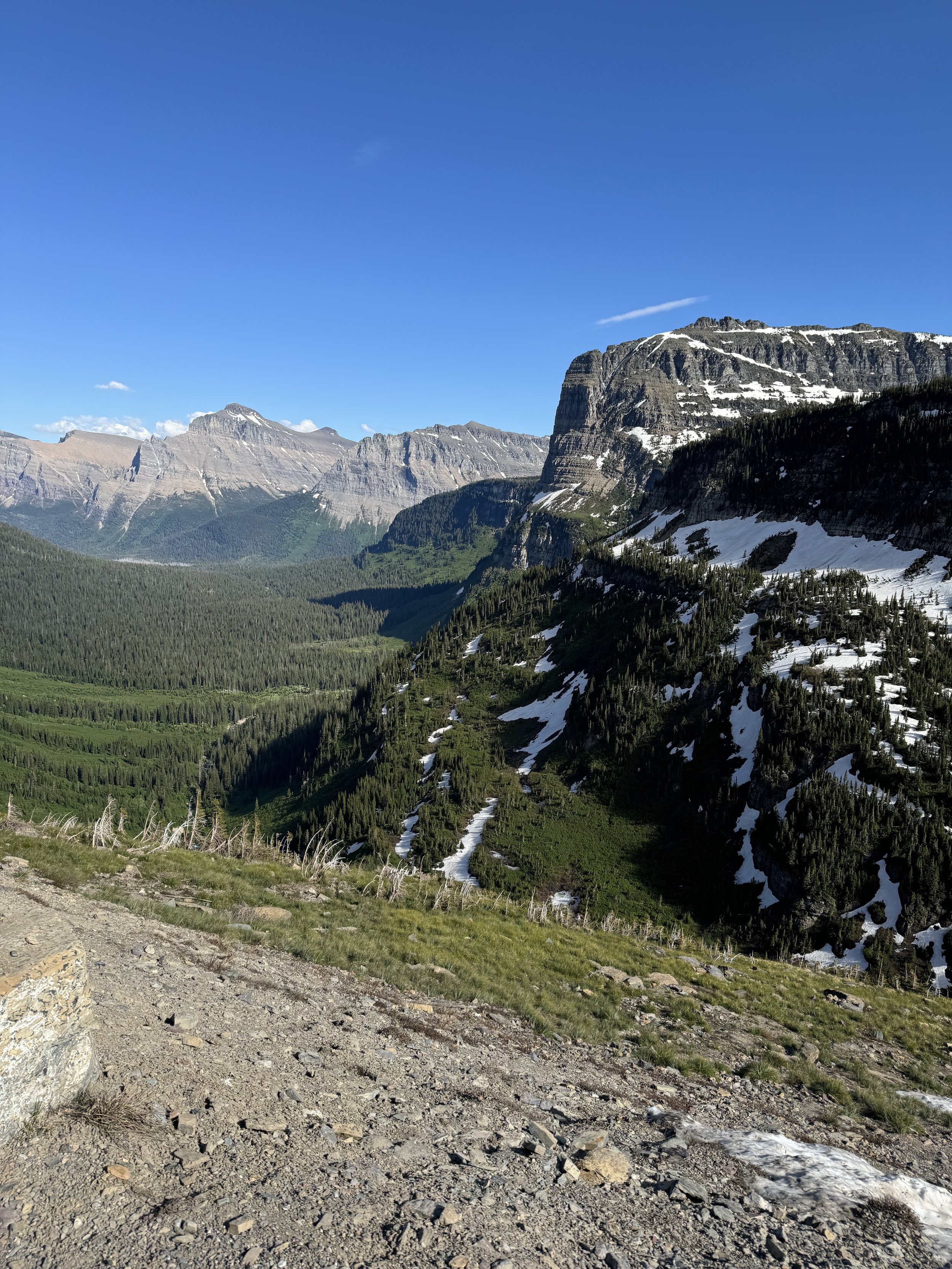 Distant timberline and mountain view - Eastbound Going To The Sun Road - Glacier National Park