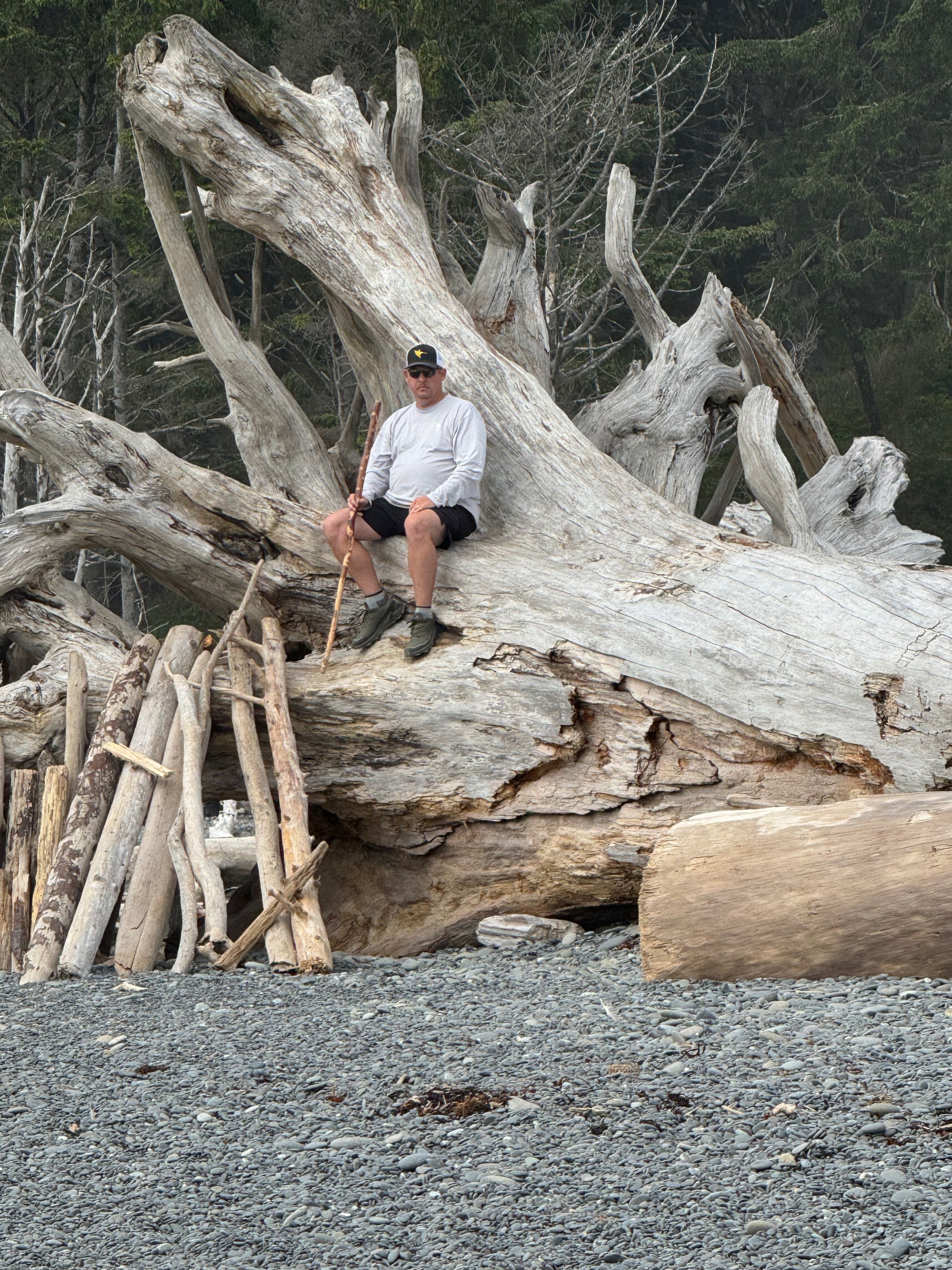 Can you find Charlie in the driftwood?? Rialto Beach - Olympic National Park - Washington State