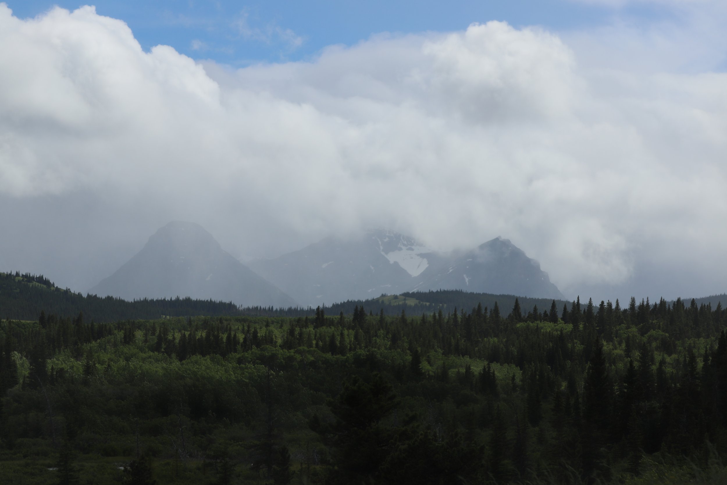 Stormy Mountain View - Two Medicine Area - Glacier N.P.