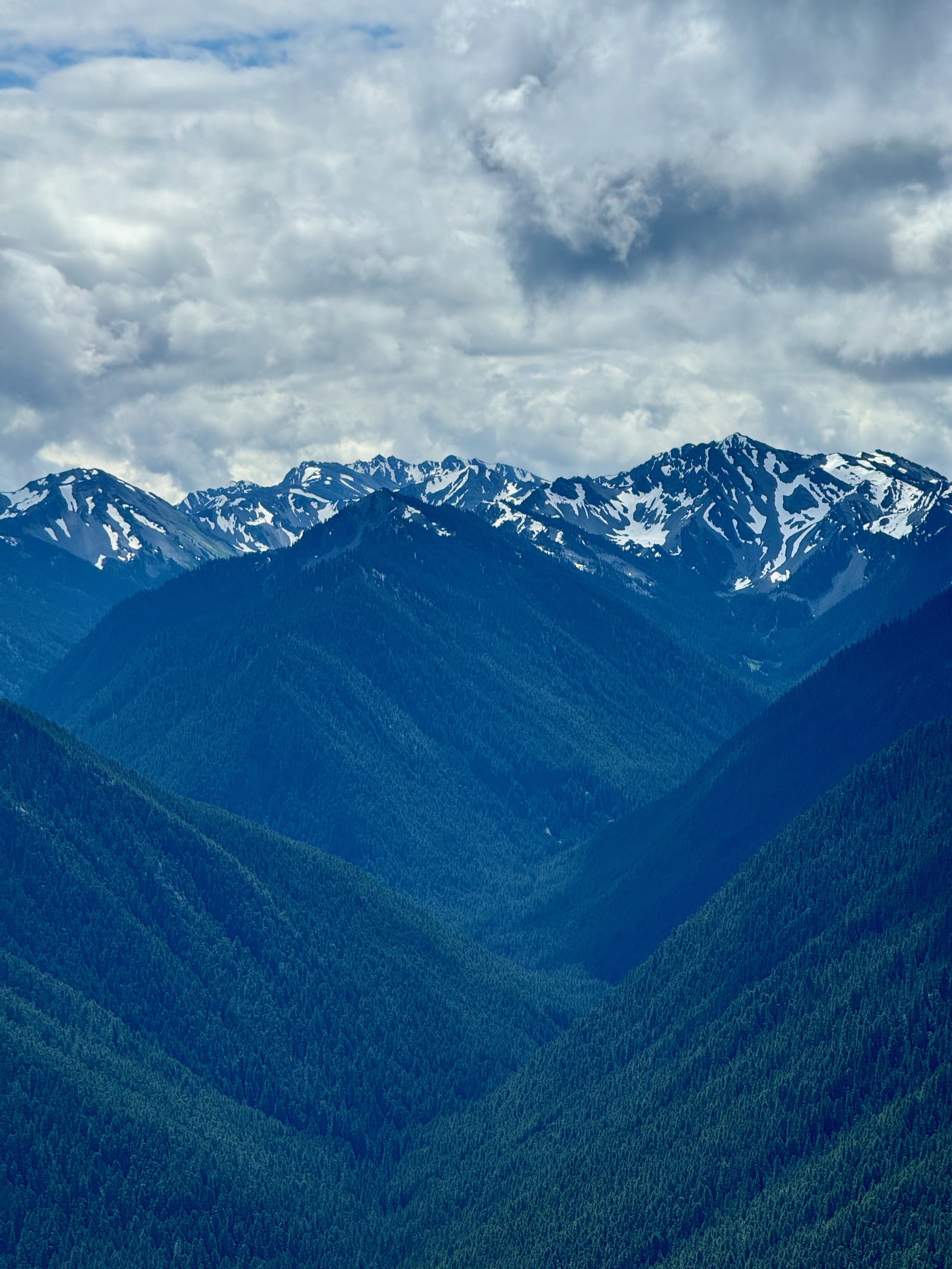 Hurricane Ridge Views - Olympic National Park