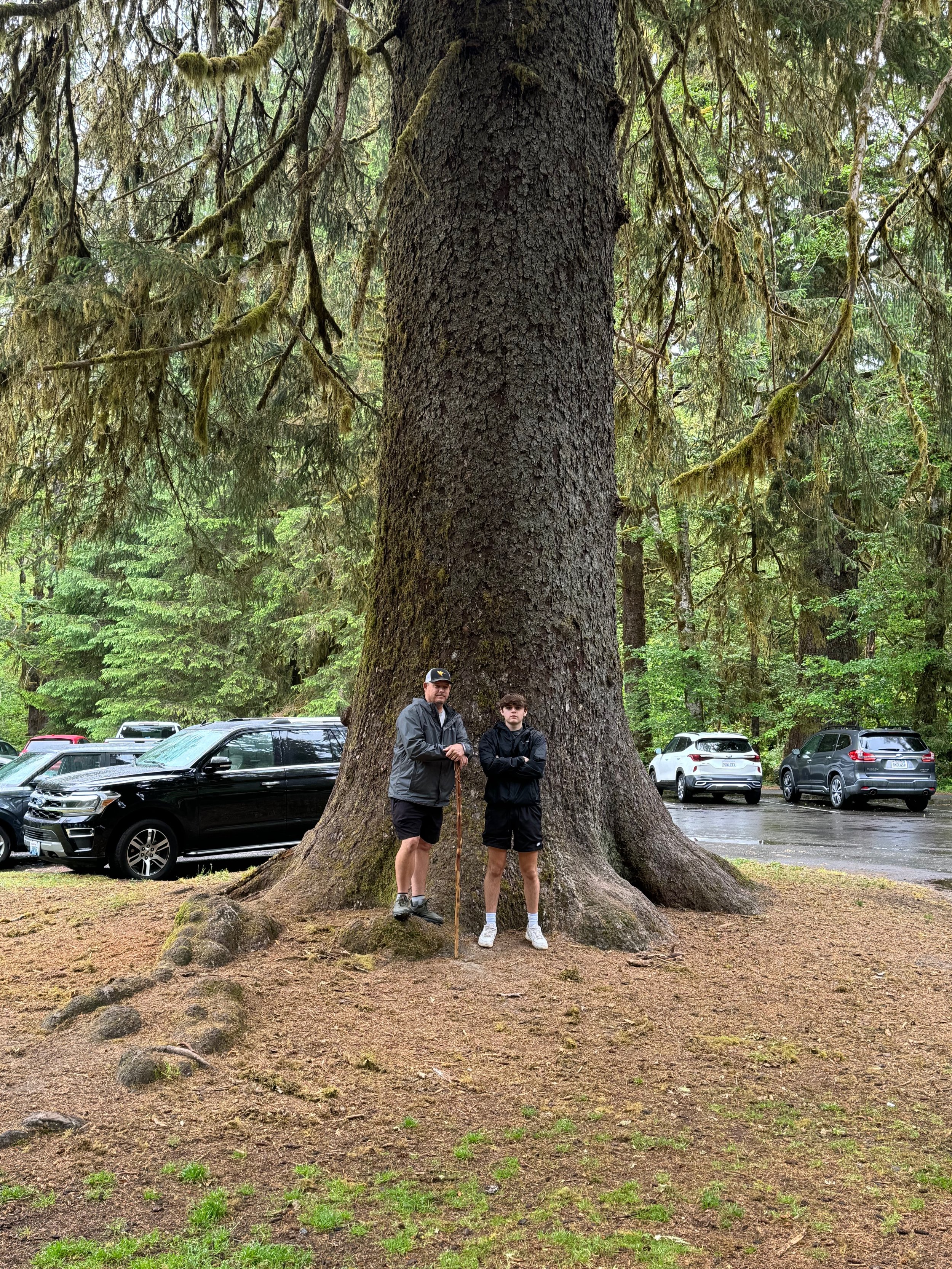 Charlie and Weston with the Giant Parking Lot Tree at the Hoh Rainforest - Olympic NP - Washington State