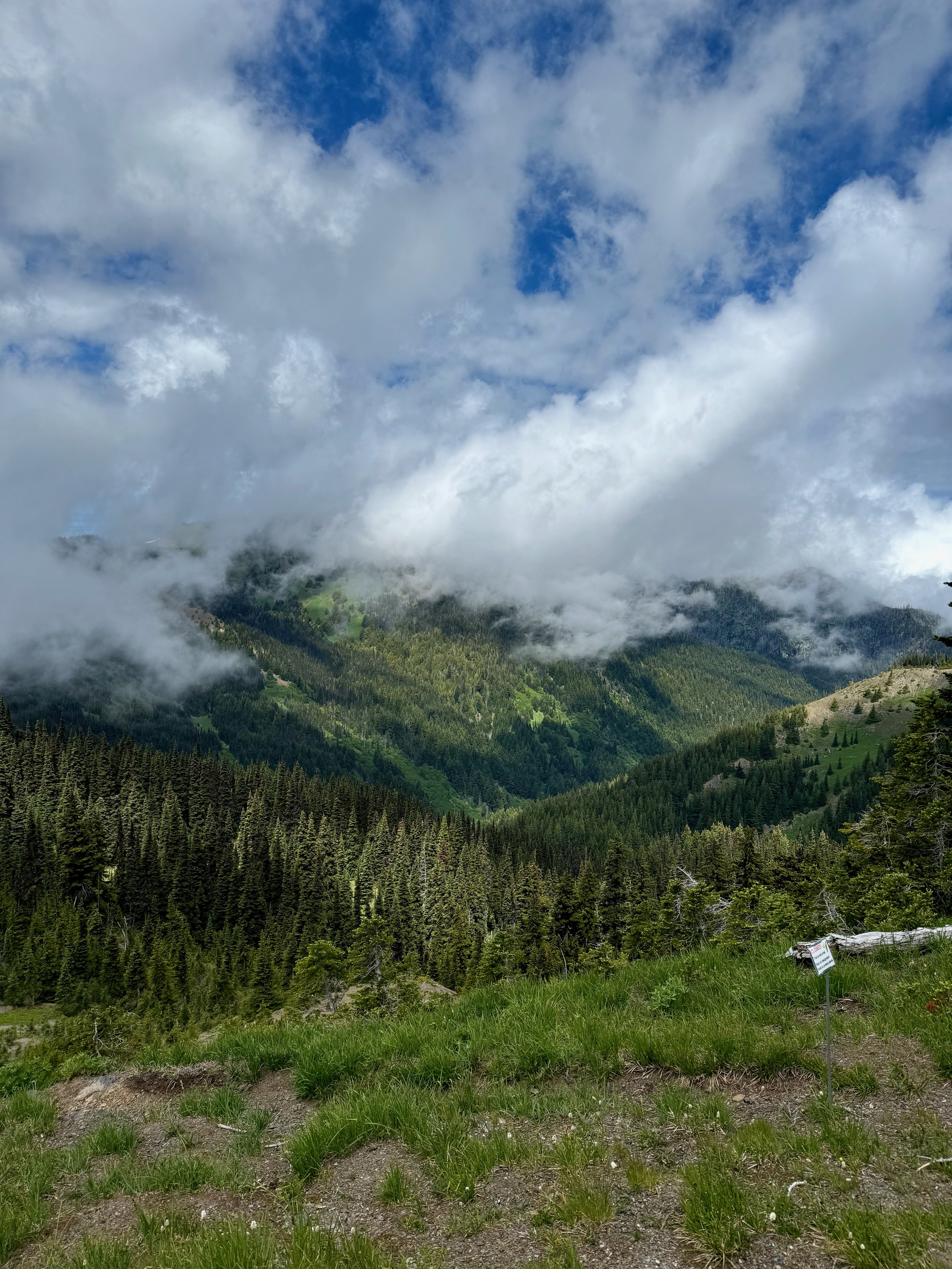 View from the Big Meadow Loop Trail - Hurricane Ridge Views - Olympic National Park