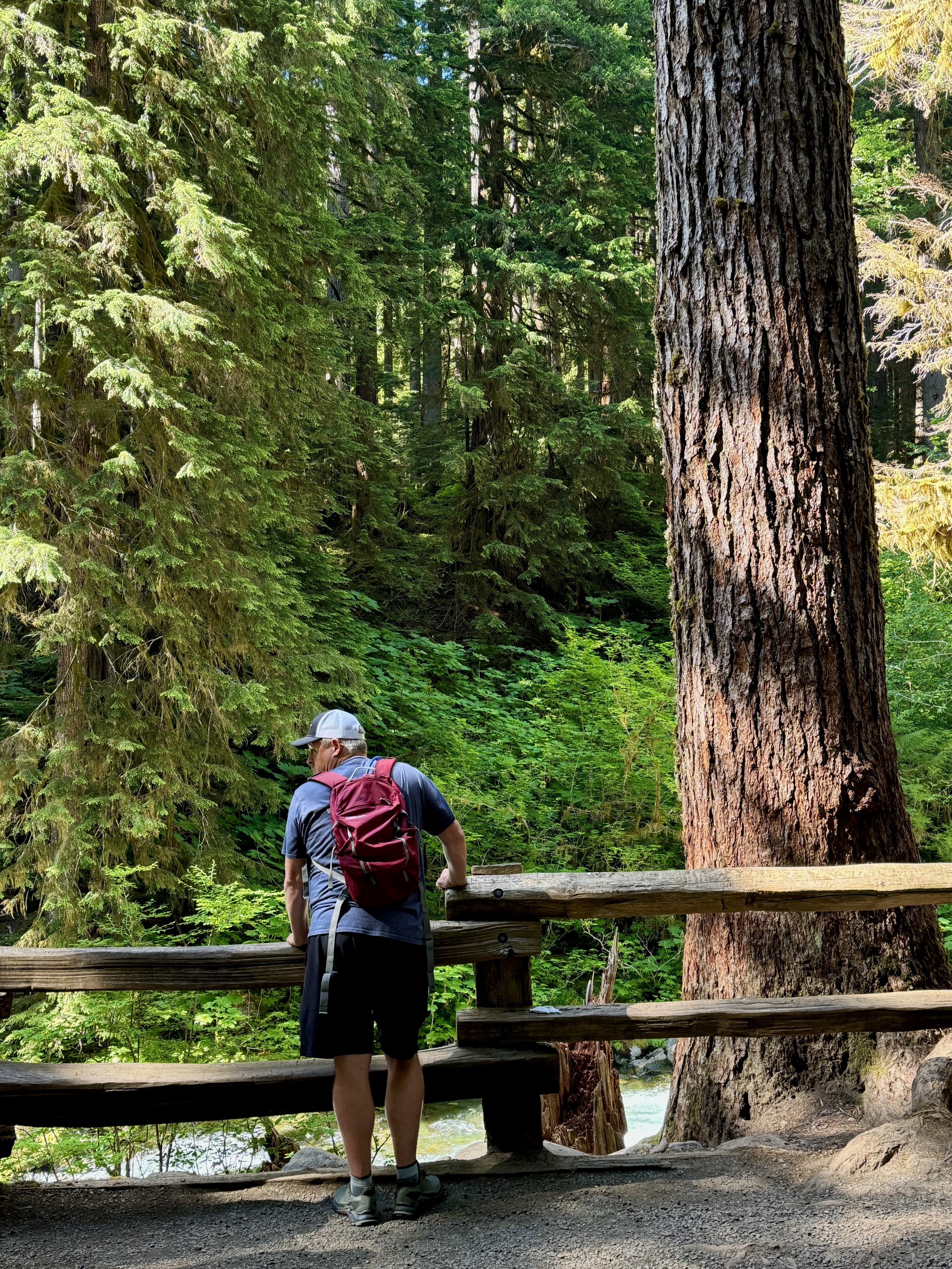 Charlie checking out the falls - Sol Duc Falls - Olympic National Park