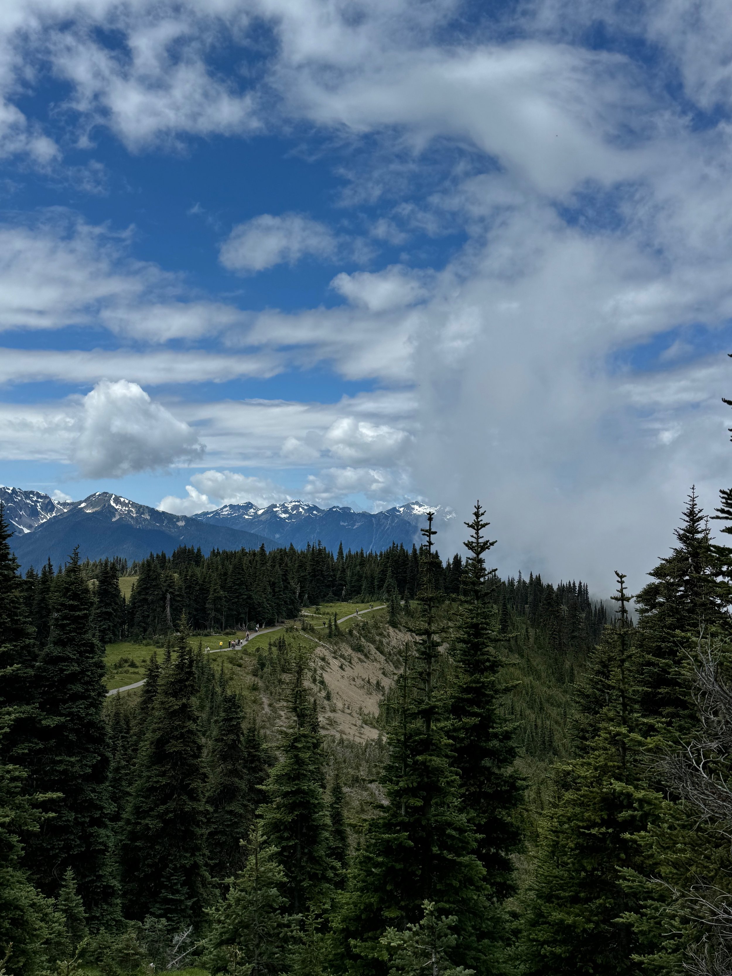 Everytime the wind blows the clouds away...it looks different. Hurricane Ridge High Ridge Trail Views - Olympic National Park
