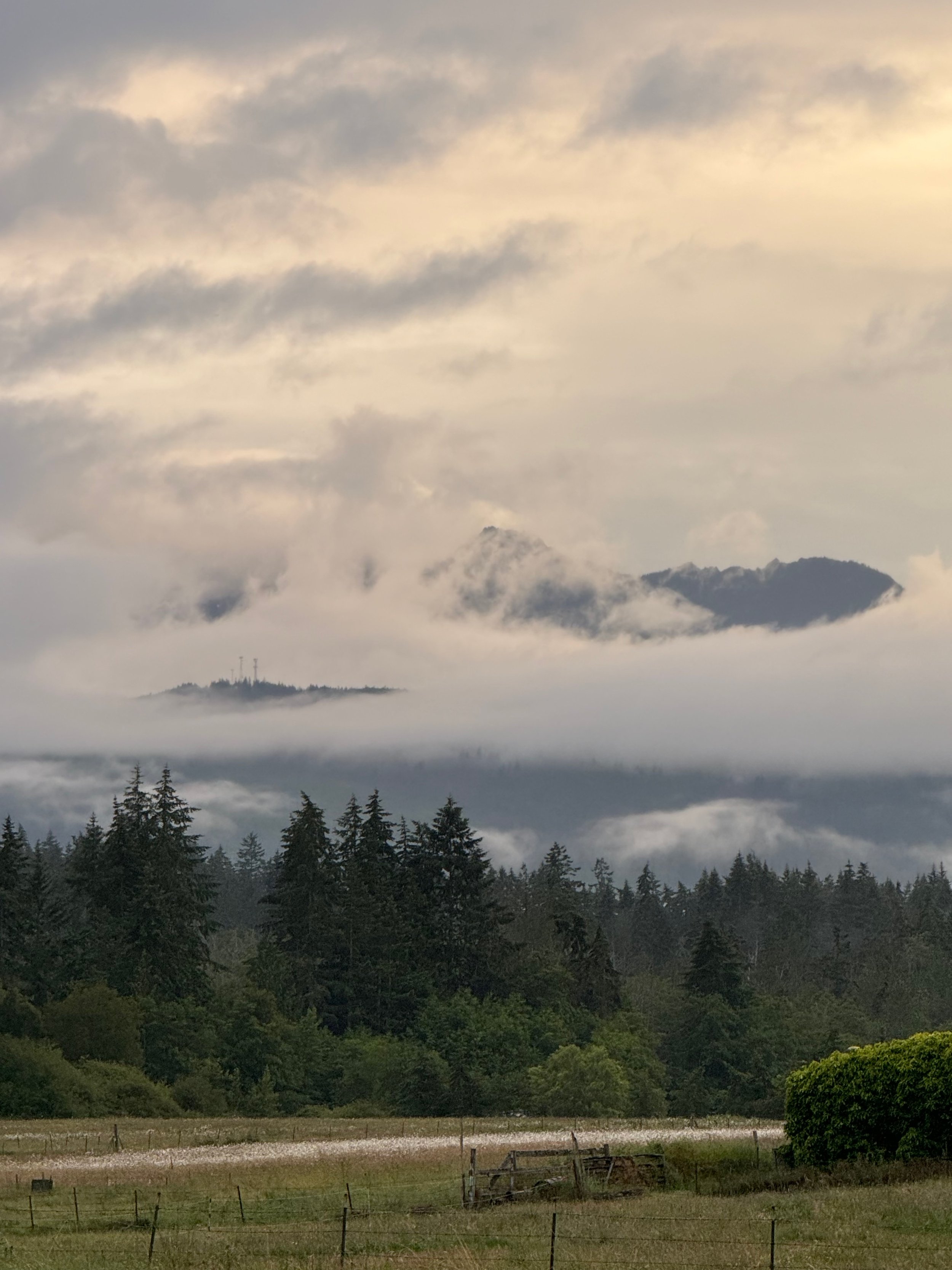 View from our RV spot at the Olympic Peninsula Port Angeles KOA - yep, there's a mountain behind those clouds.